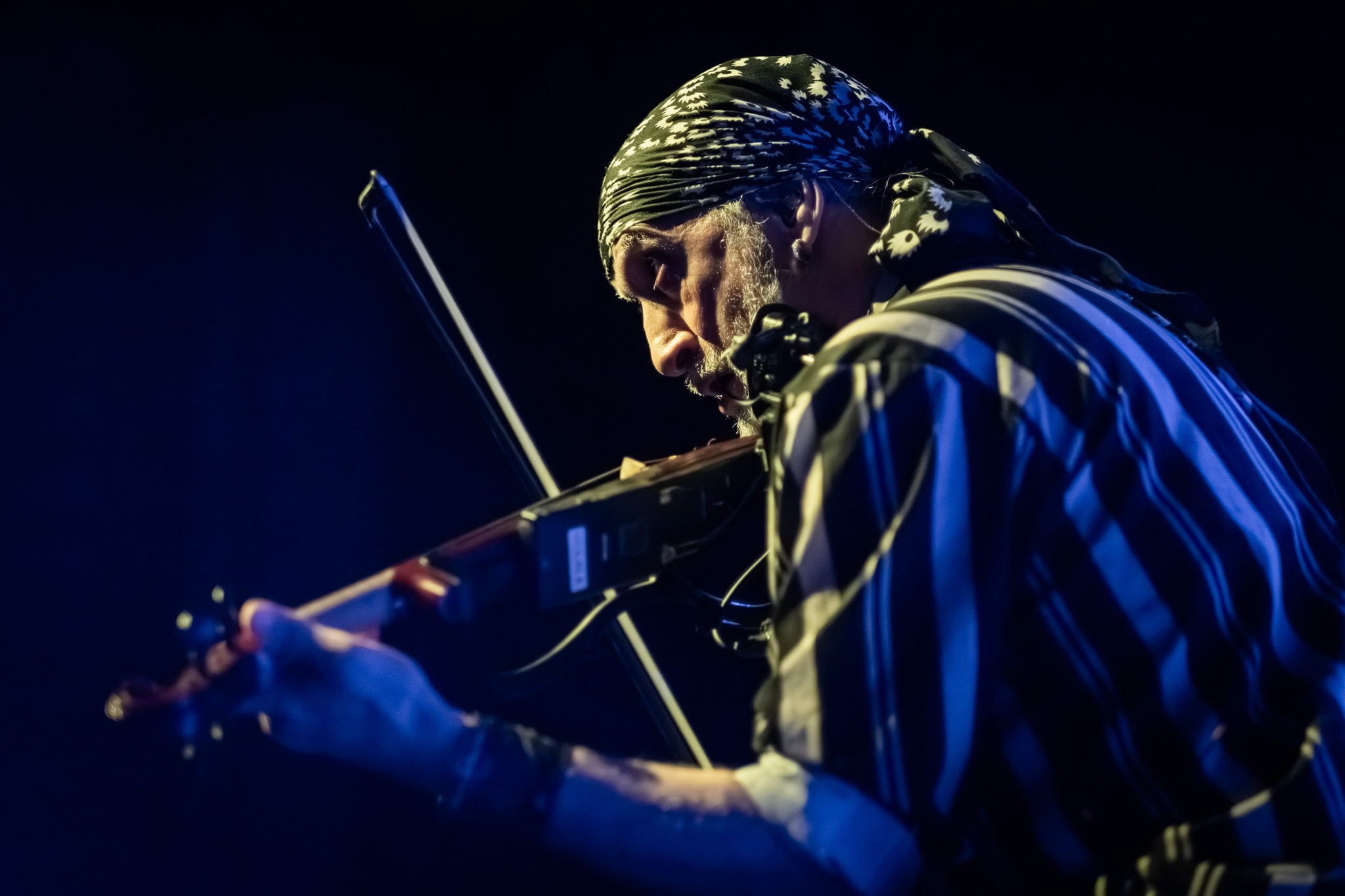 GOGOL BORDELLO / 2026. Reportage concert portrait photography in the San Francisco Bay Area