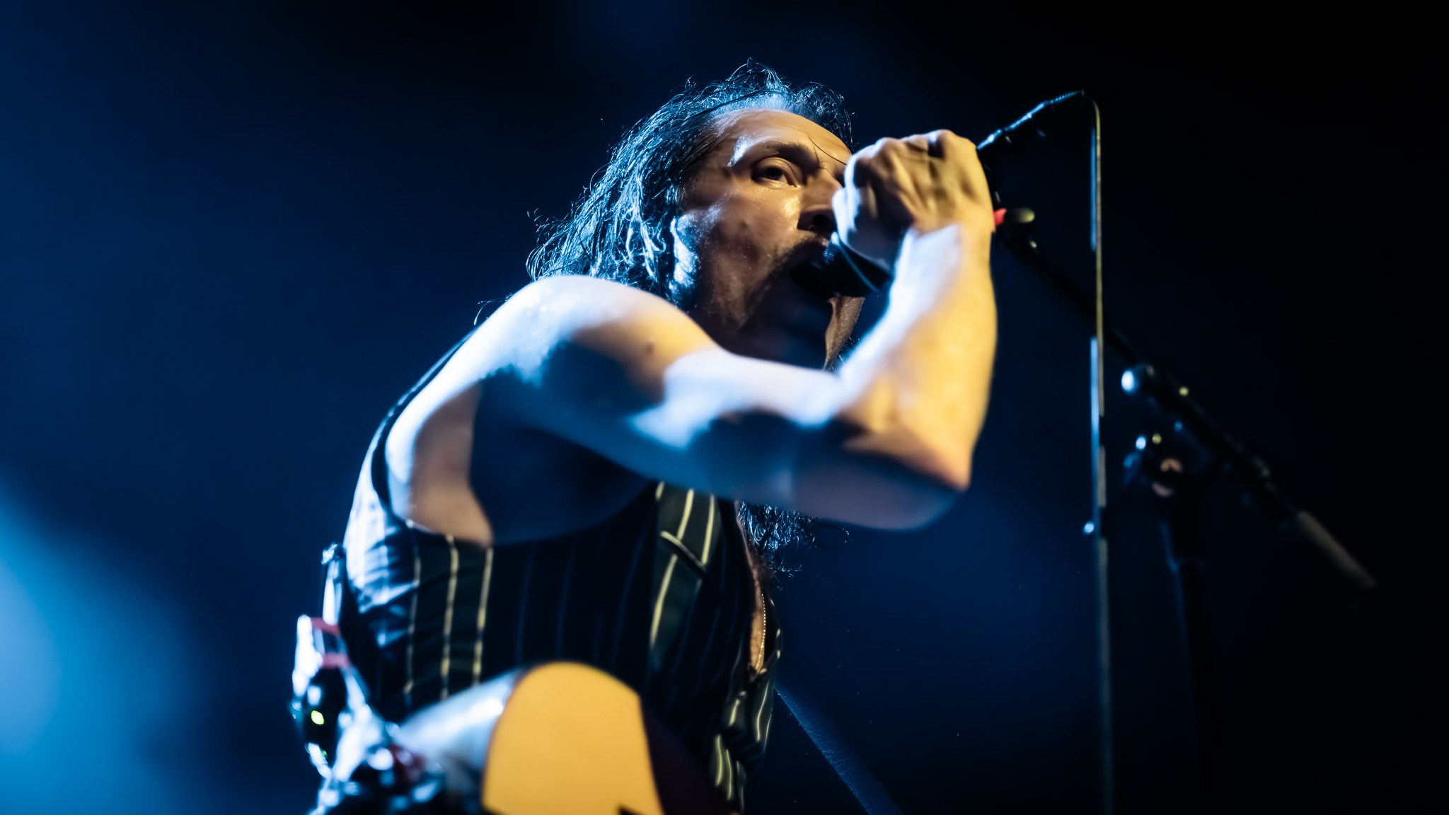 GOGOL BORDELLO / 2026. Reportage concert portrait photography in the San Francisco Bay Area