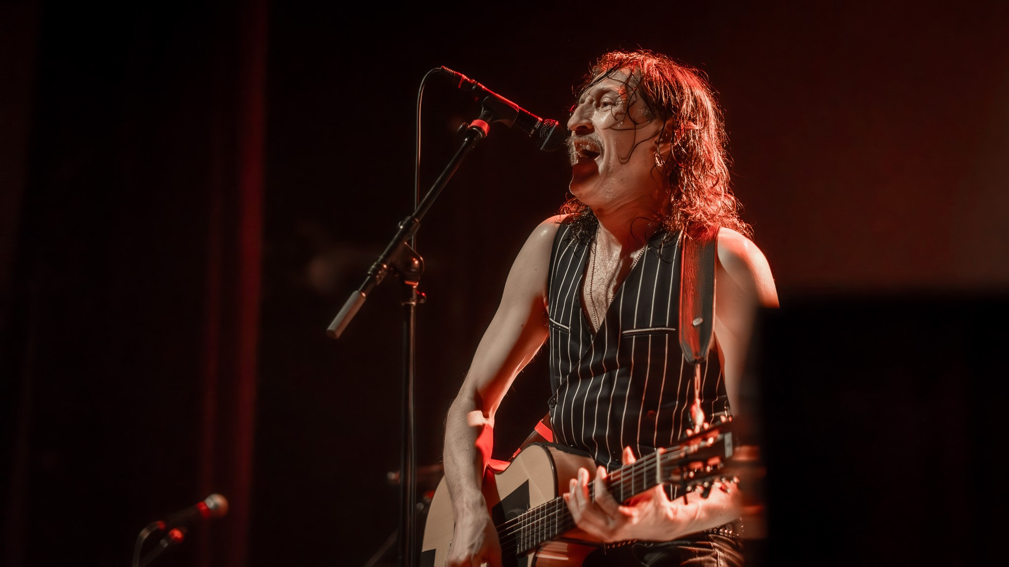 GOGOL BORDELLO / 2026. Reportage concert portrait photography in the San Francisco Bay Area