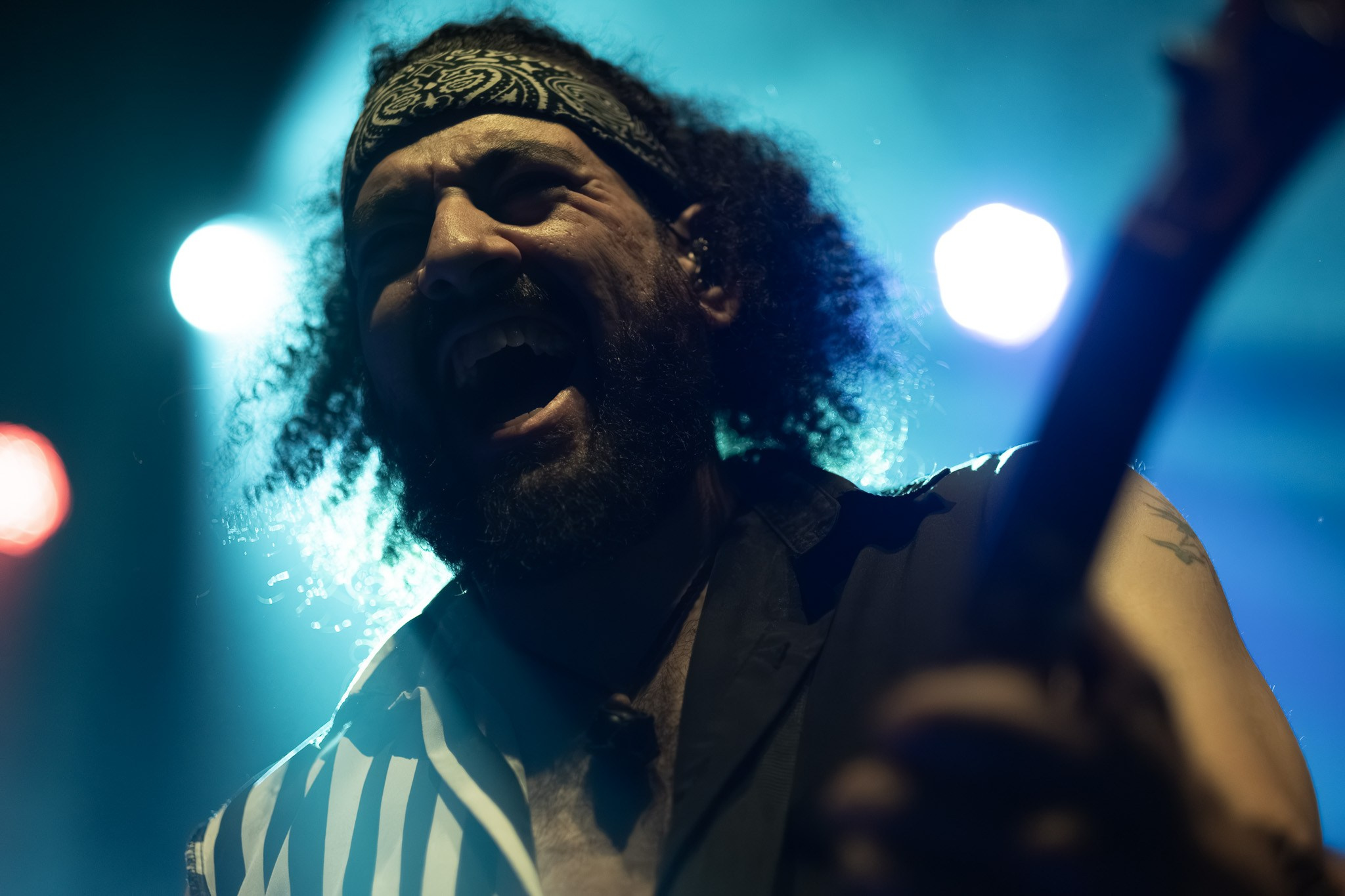 GOGOL BORDELLO / 2026. Reportage concert portrait photography in the San Francisco Bay Area