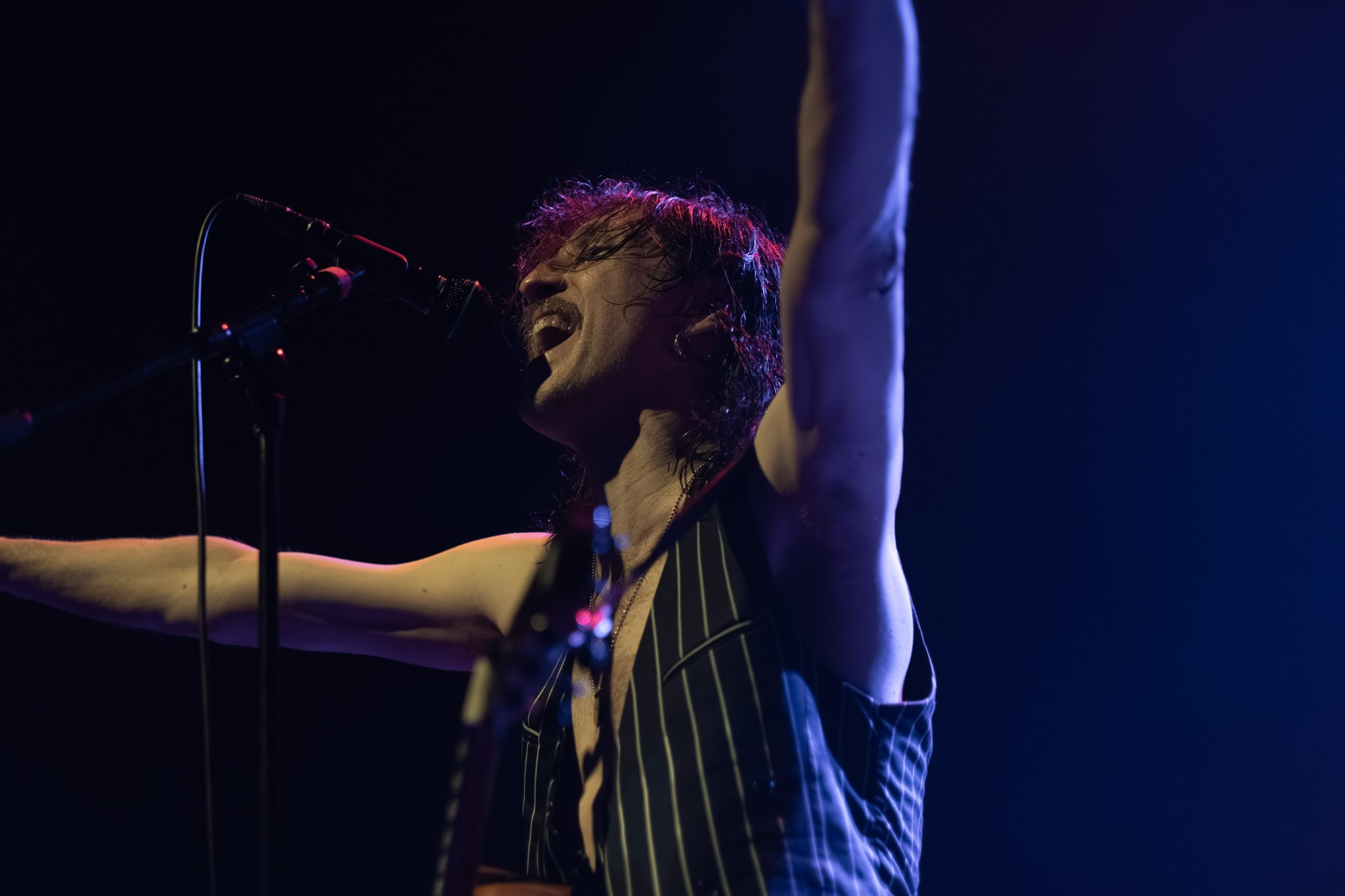 GOGOL BORDELLO / 2026. Reportage concert portrait photography in the San Francisco Bay Area
