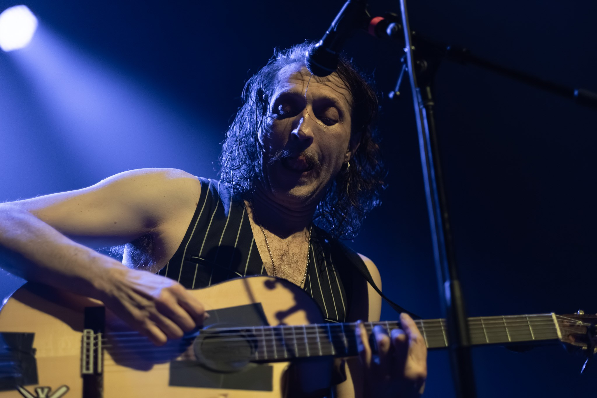 GOGOL BORDELLO / 2026. Reportage concert portrait photography in the San Francisco Bay Area