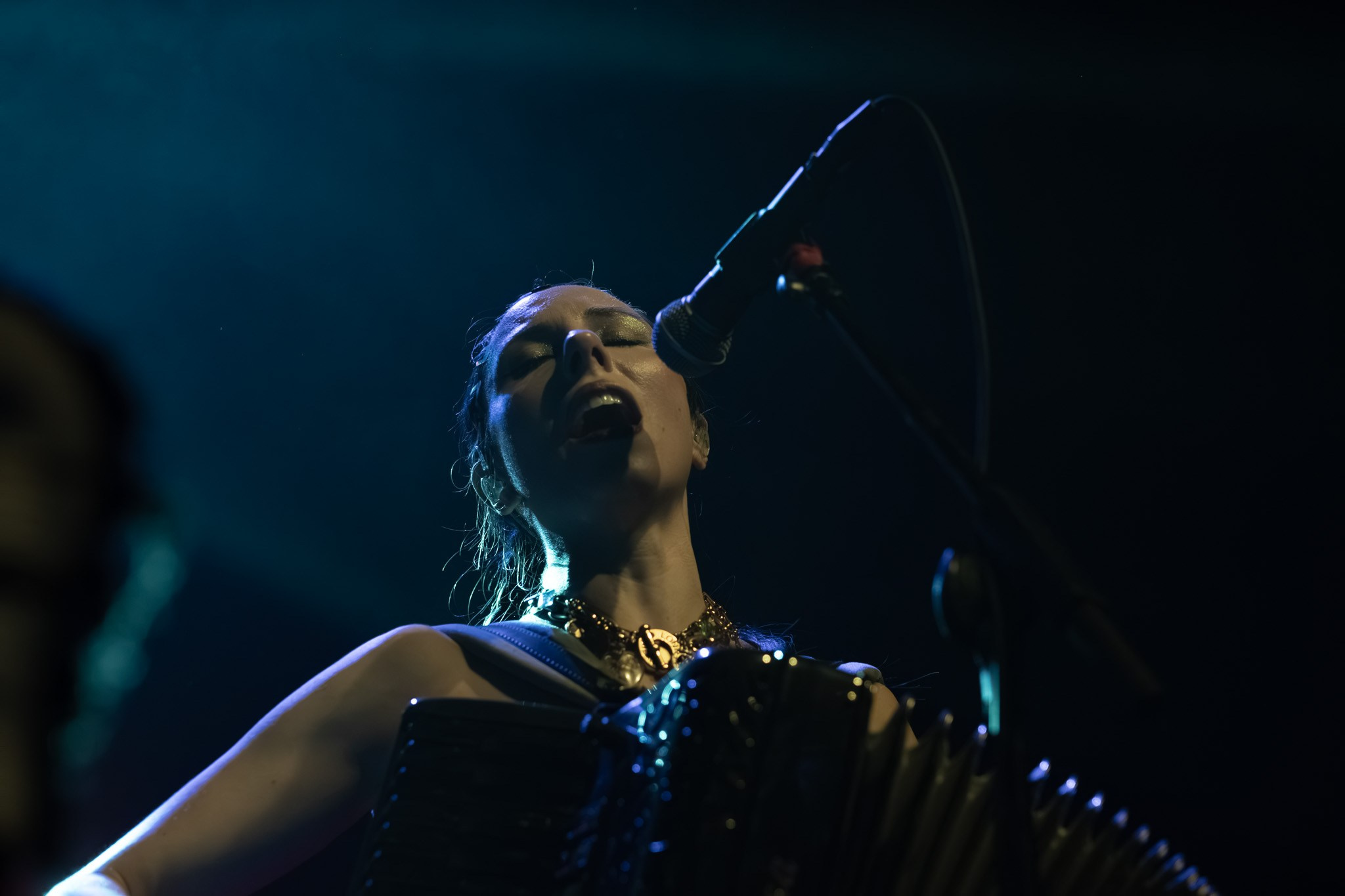 GOGOL BORDELLO / 2026. Reportage concert portrait photography in the San Francisco Bay Area