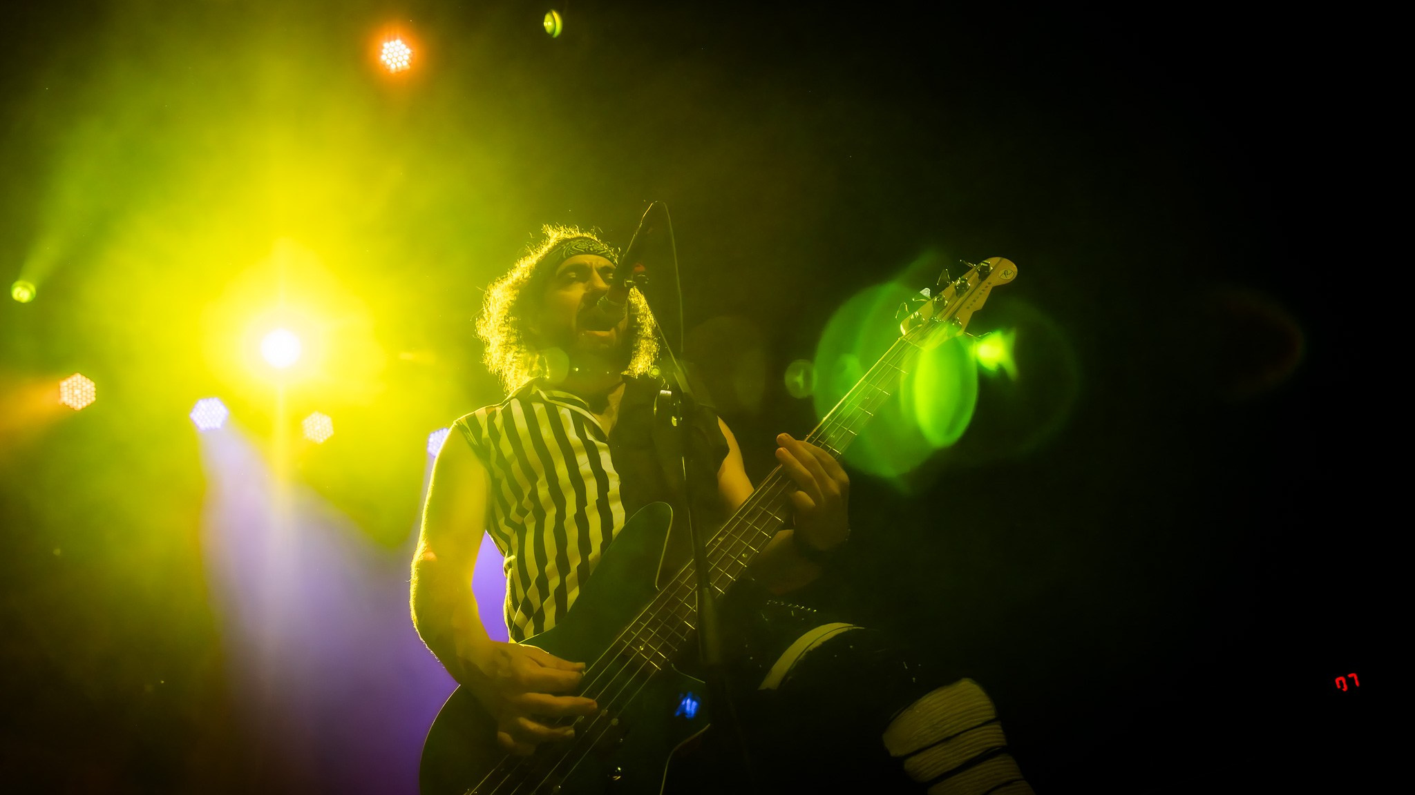 GOGOL BORDELLO / 2026. Reportage concert portrait photography in the San Francisco Bay Area