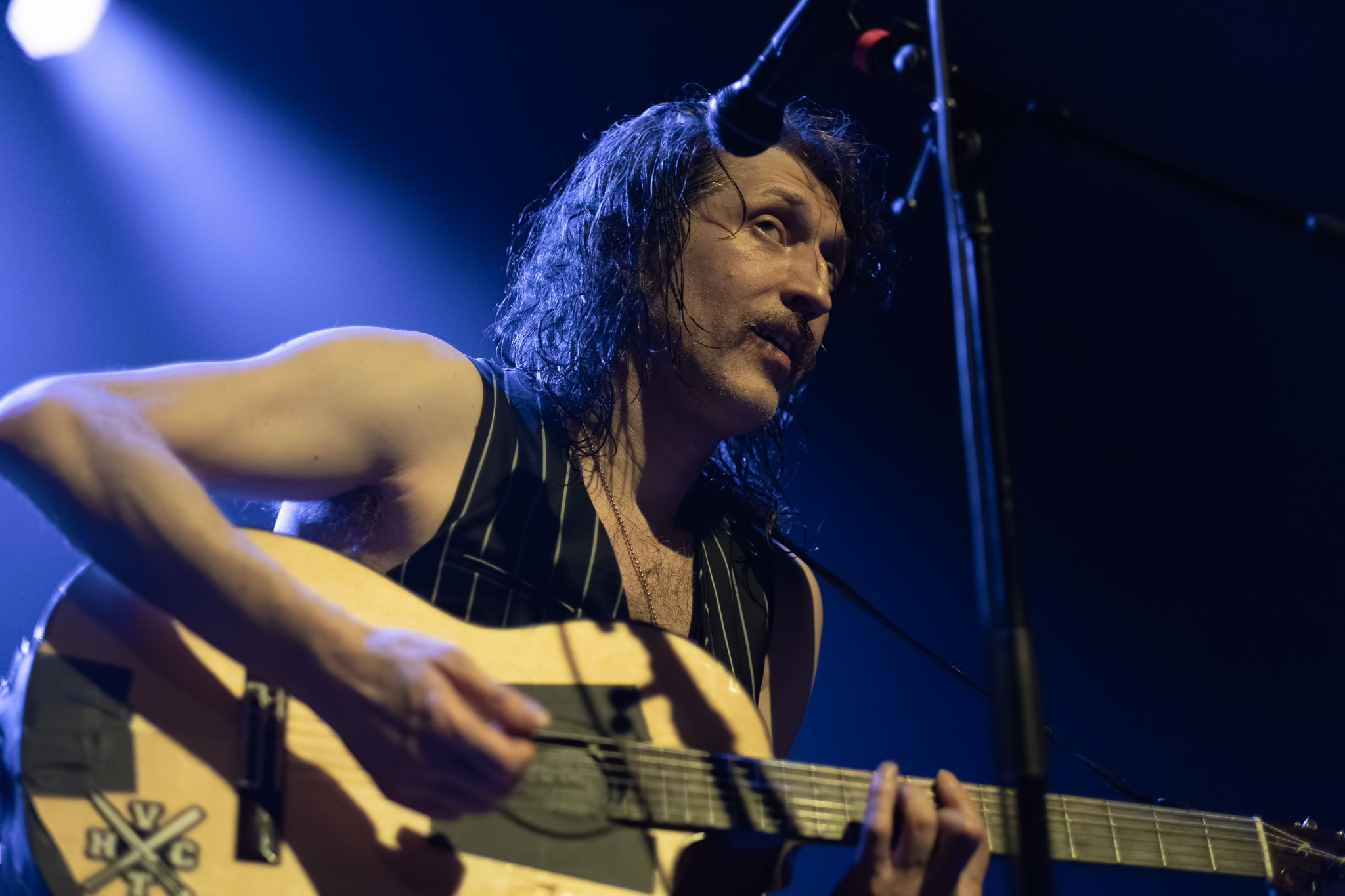 GOGOL BORDELLO / 2026. Reportage concert portrait photography in the San Francisco Bay Area