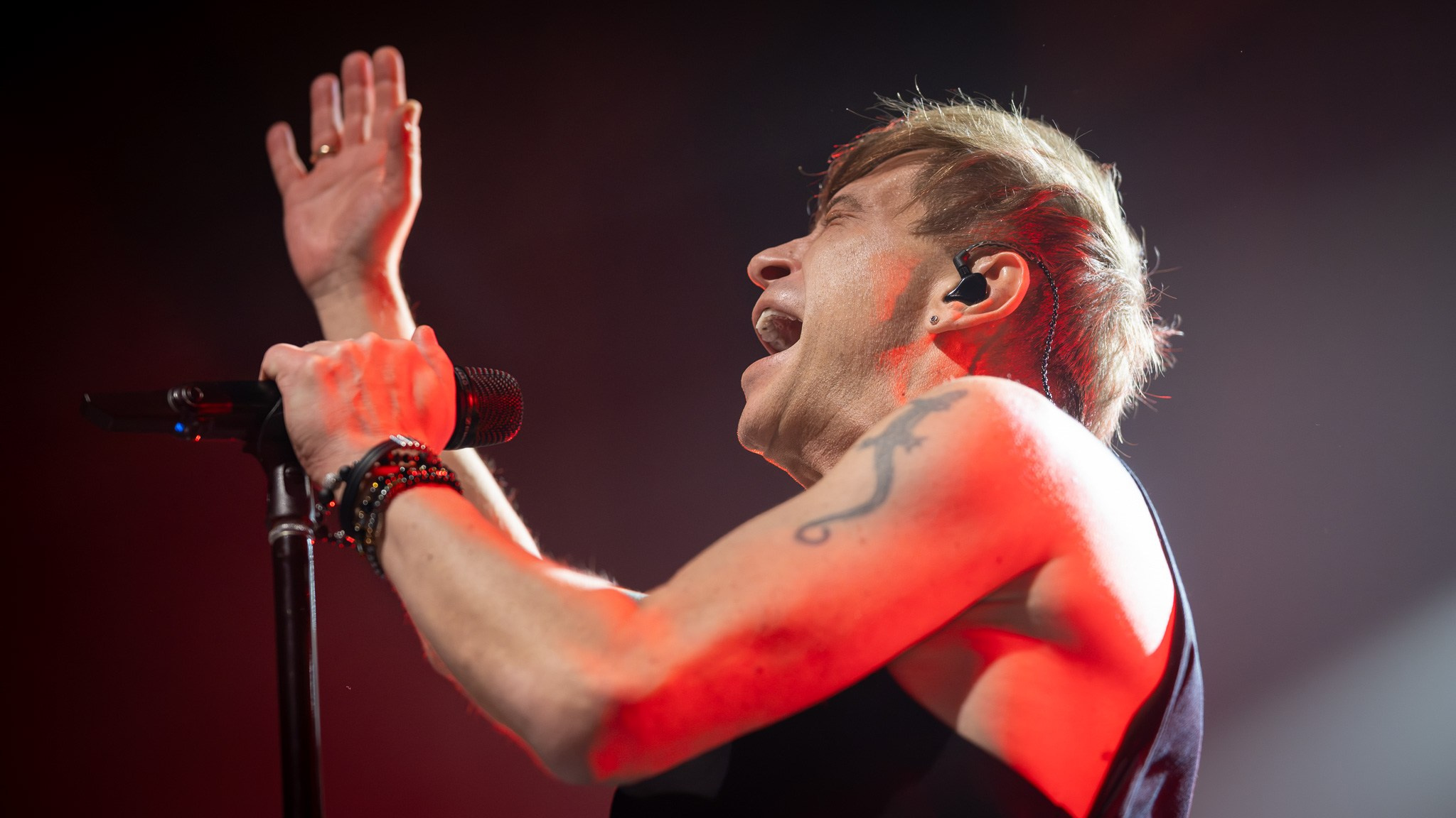 BI-2 / 2026. Reportage concert portrait photography in the San Francisco Bay Area