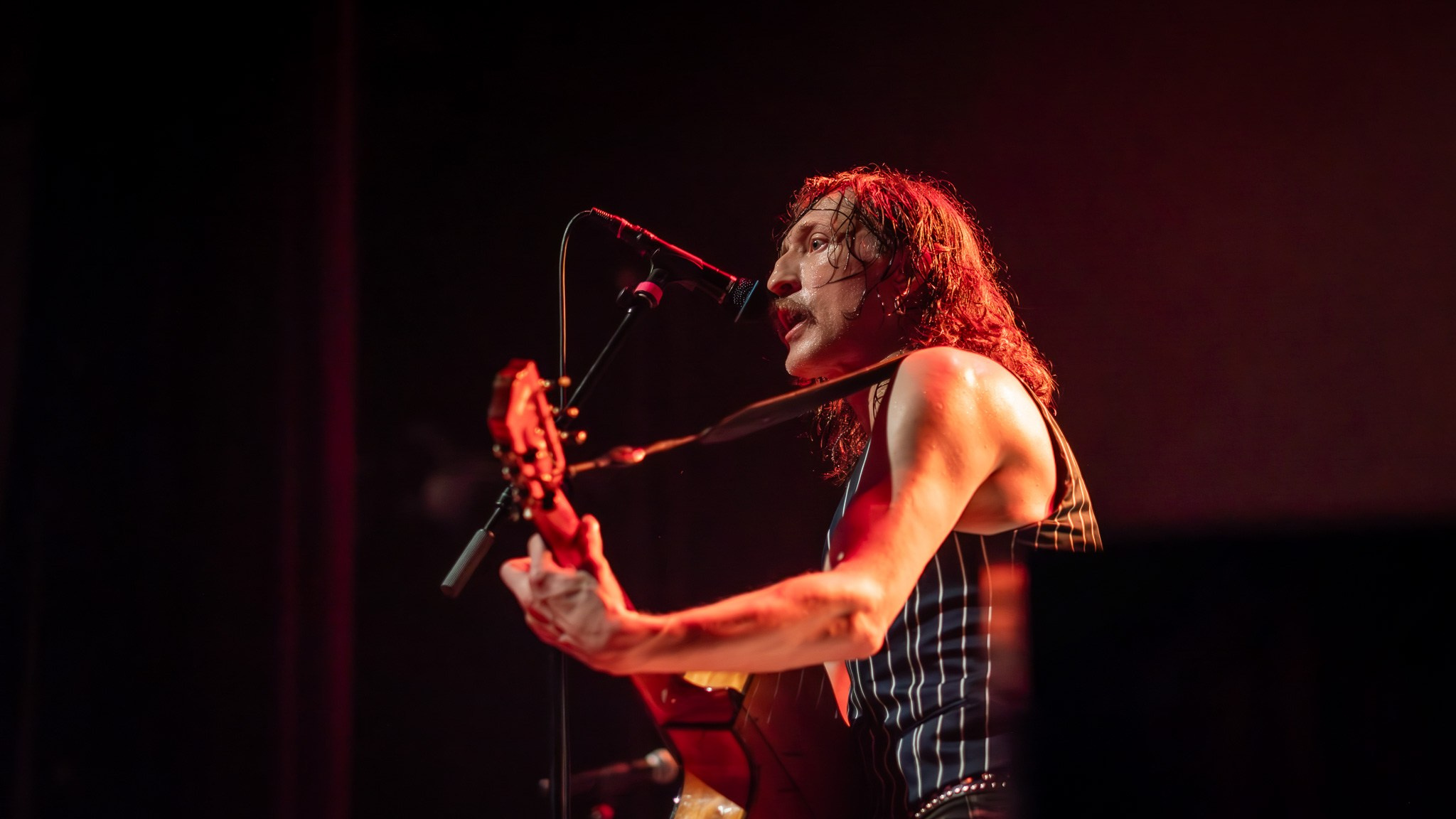 GOGOL BORDELLO / 2026. Reportage concert portrait photography in the San Francisco Bay Area