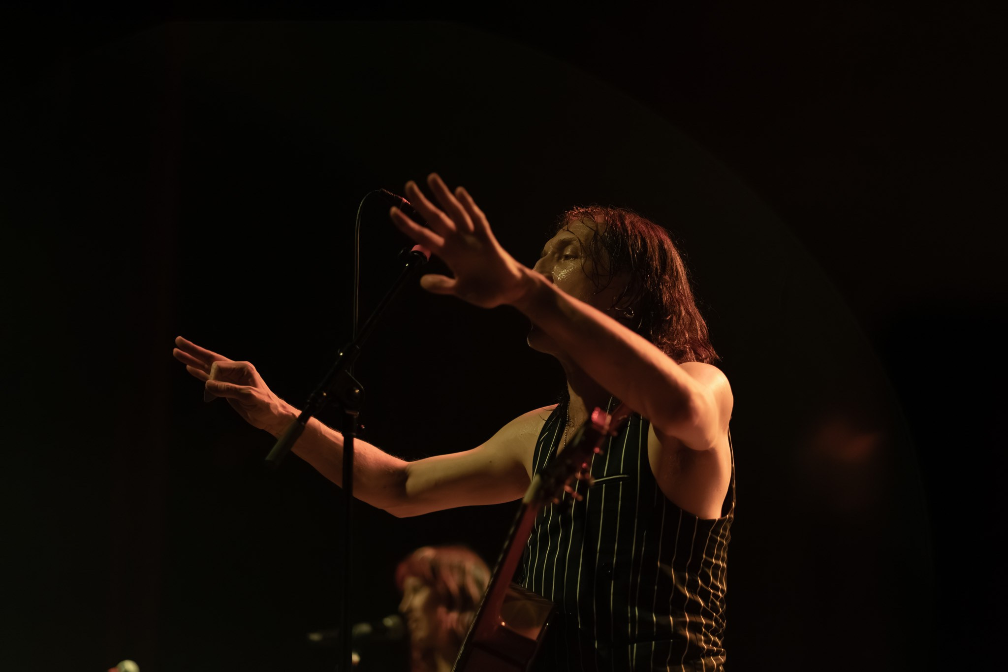 GOGOL BORDELLO / 2026. Reportage concert portrait photography in the San Francisco Bay Area