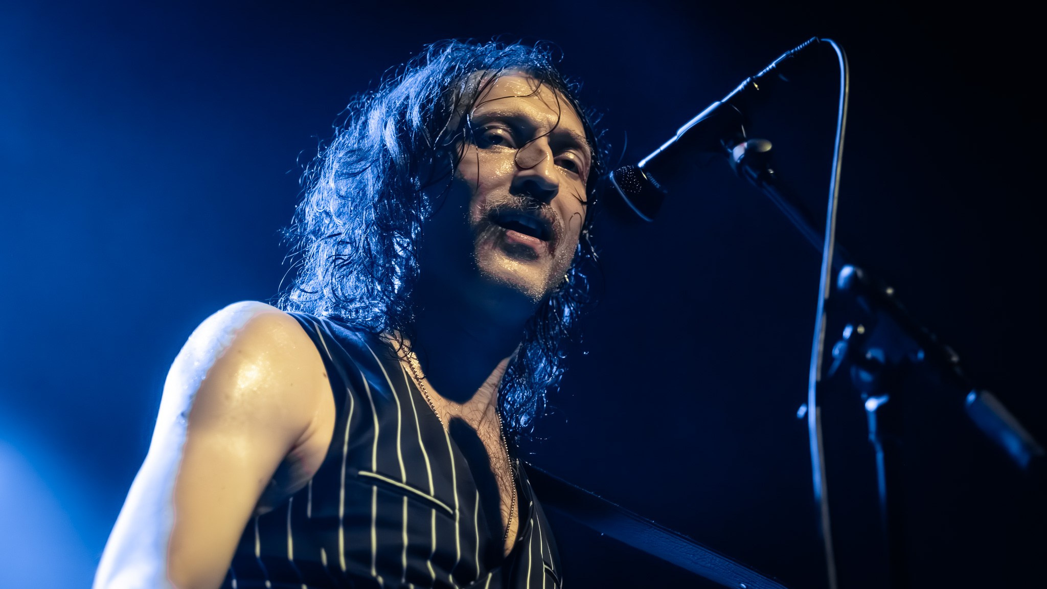 GOGOL BORDELLO / 2026. Reportage concert portrait photography in the San Francisco Bay Area
