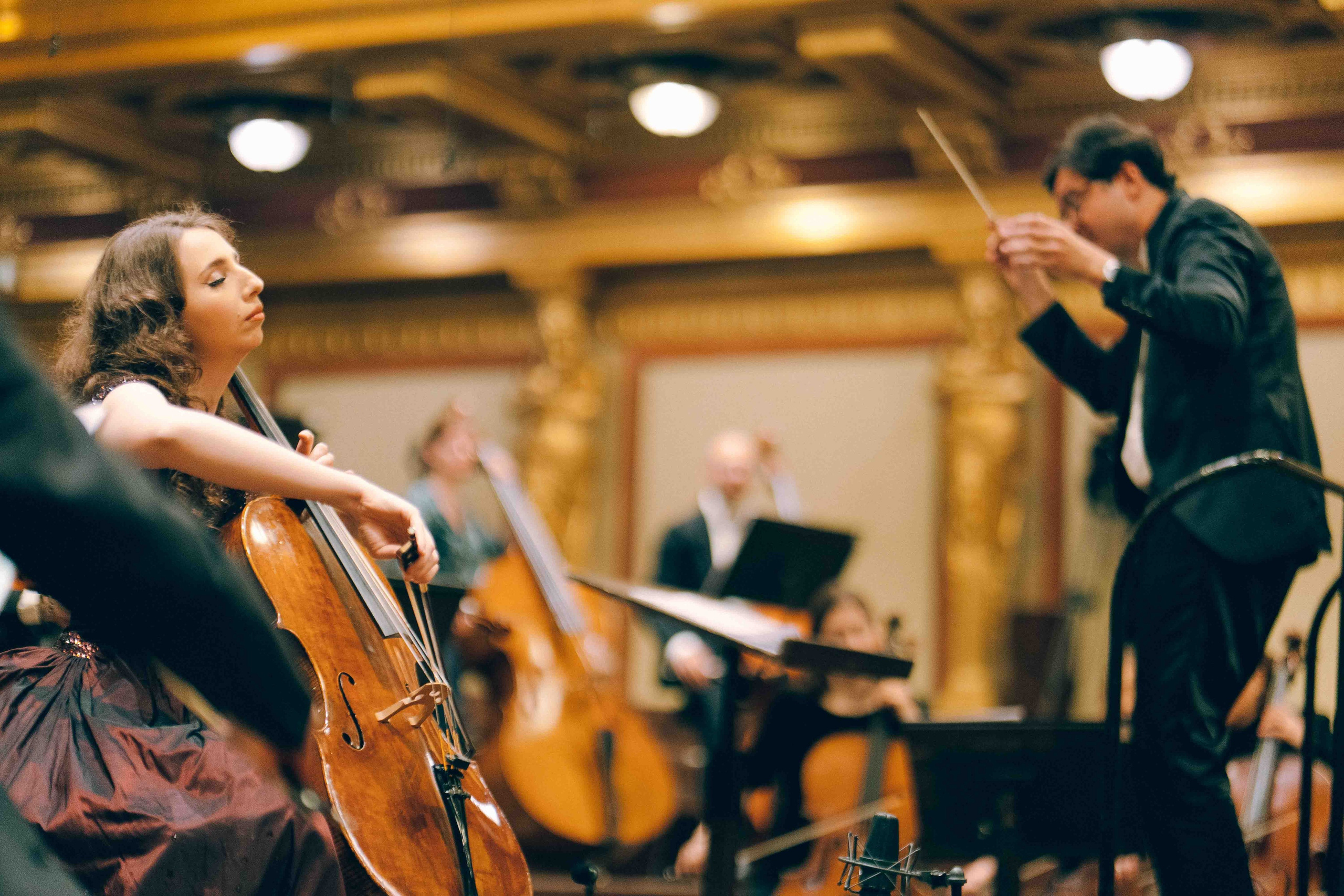 MUSIKVEREIN (VIENNA). Wedding&Event photographer Ismail Rzayev in Baku