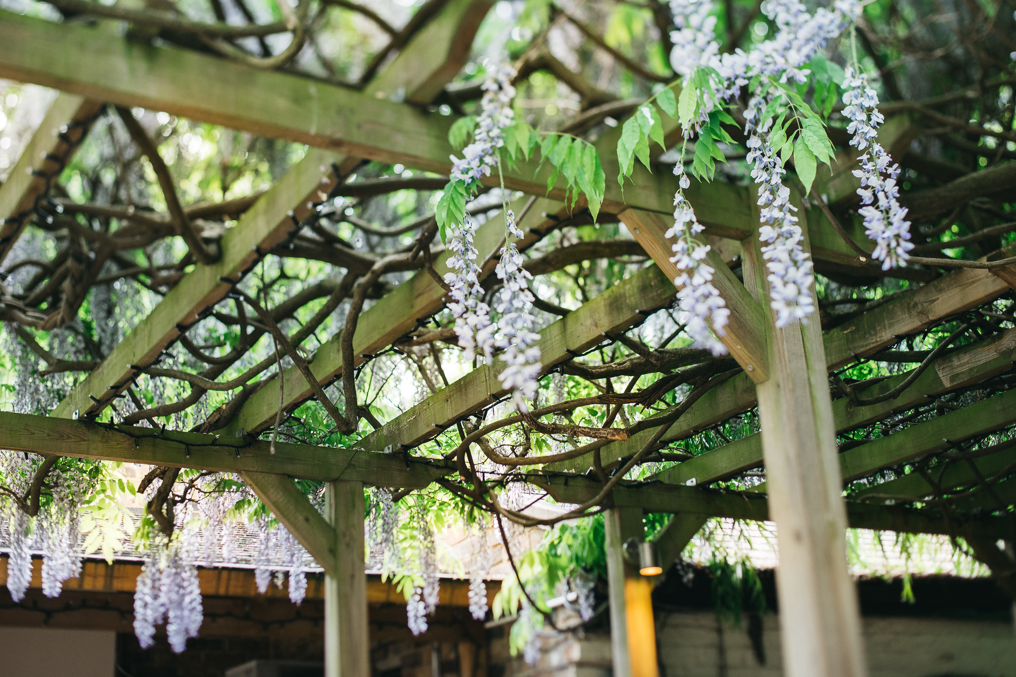 Love in London. Kāzu fotogrāfs Rīgā — Vjačeslavs Lučņenkovs