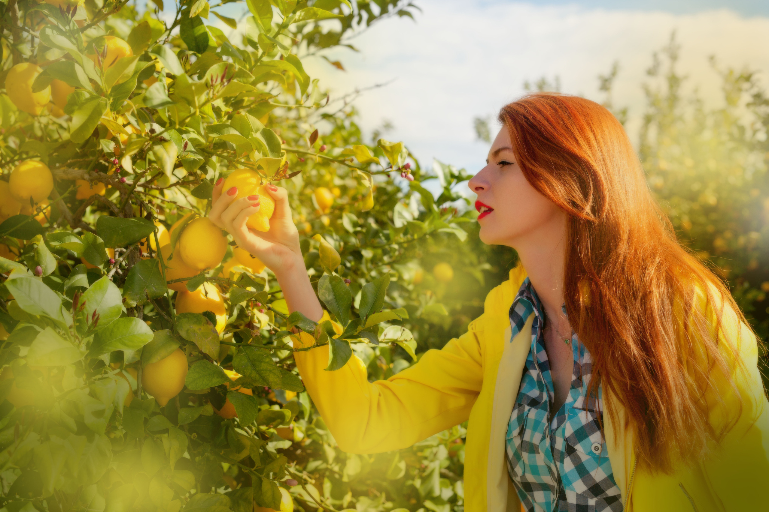 Lemon. Family and real state photographer in Haugesund Dina Vikra