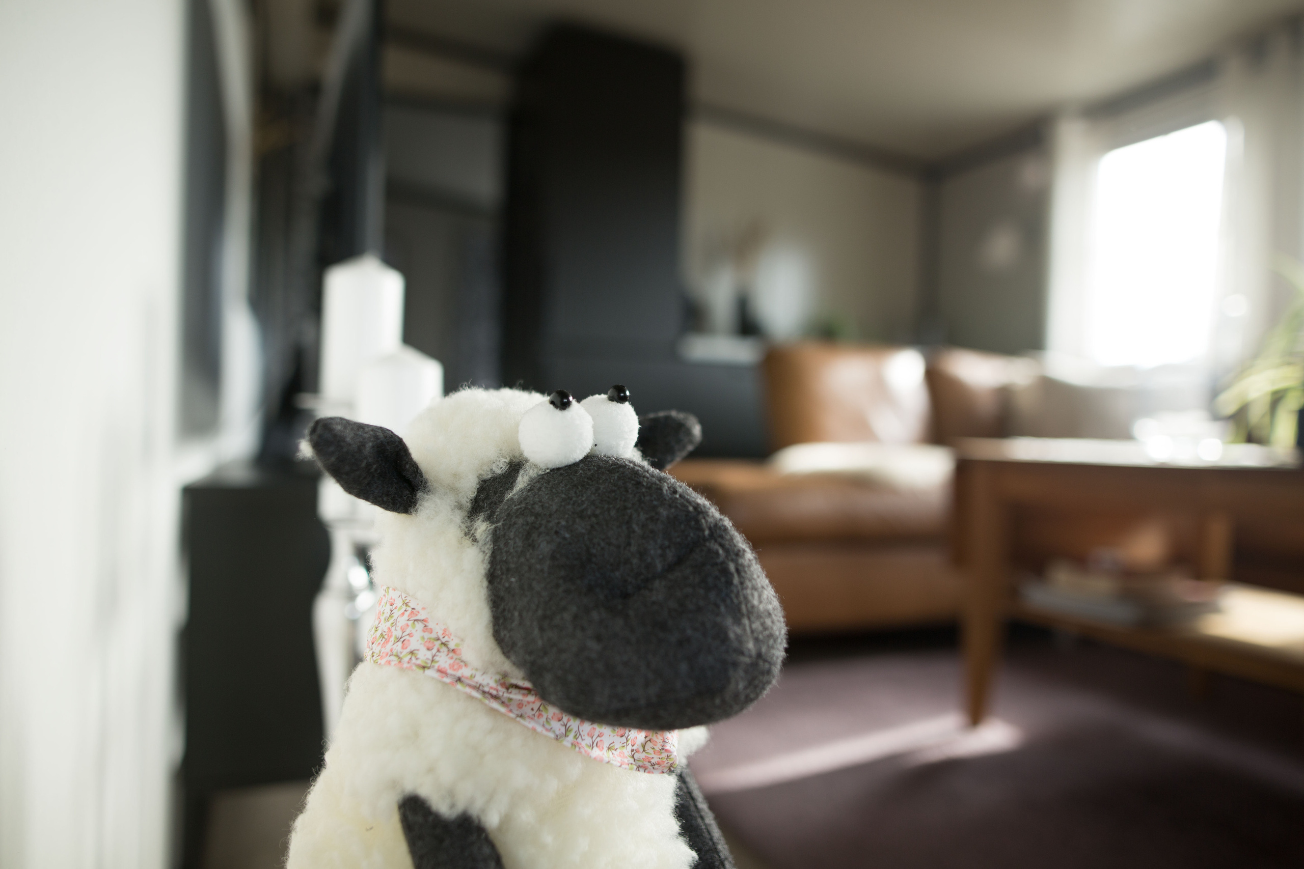 Hytta for salg. Family and real state photographer in Haugesund Dina Vikra