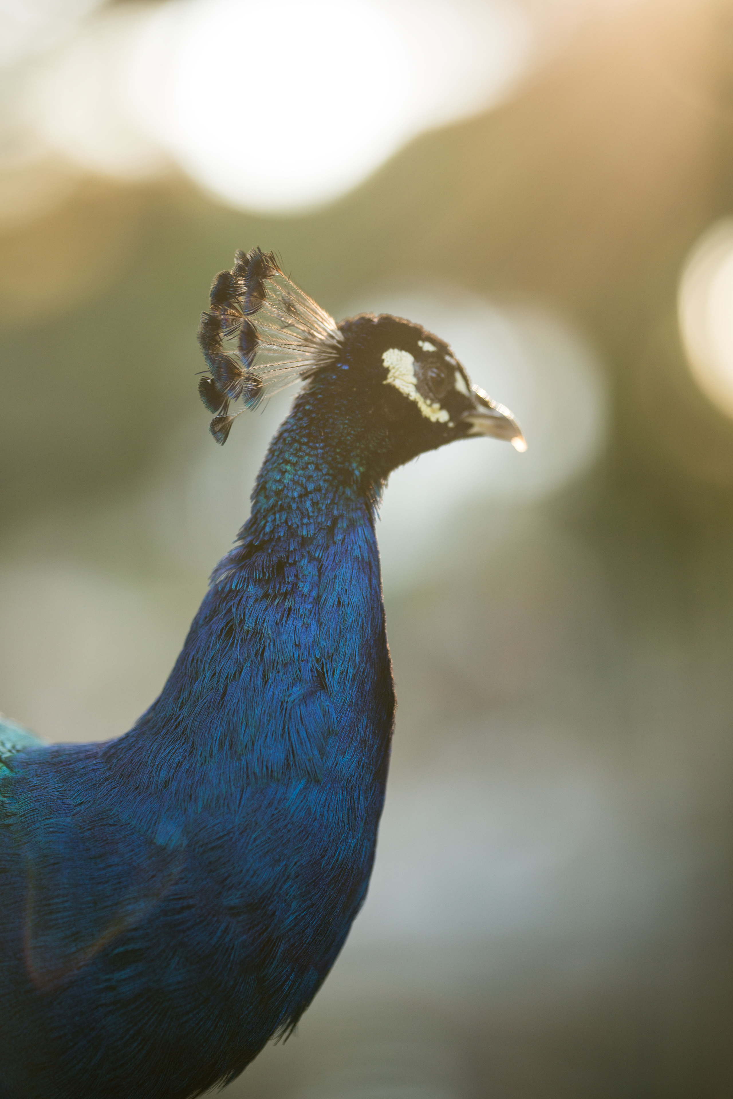 In the park. Family and real state photographer in Haugesund Dina Vikra