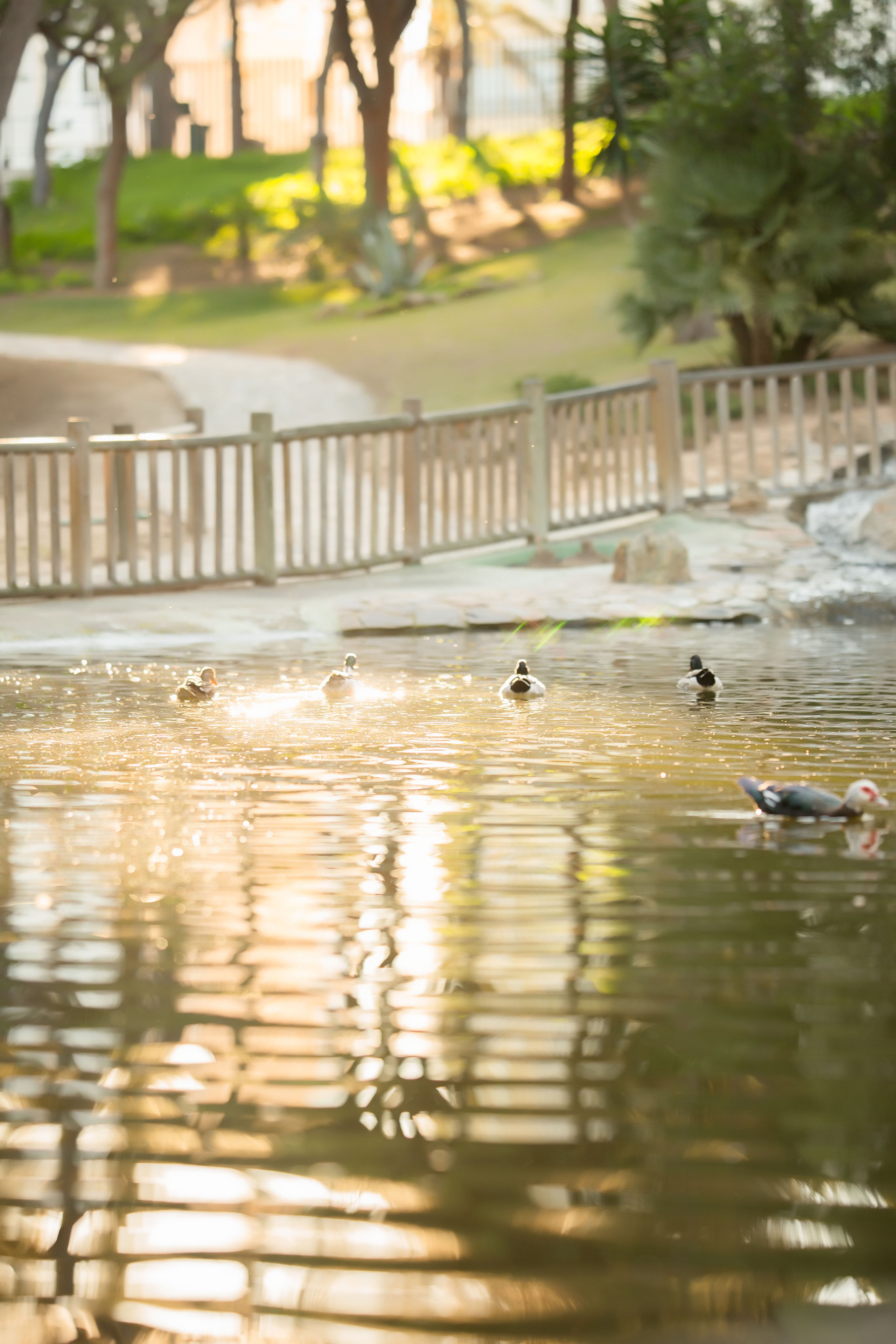 In the park. Family and real state photographer in Haugesund Dina Vikra