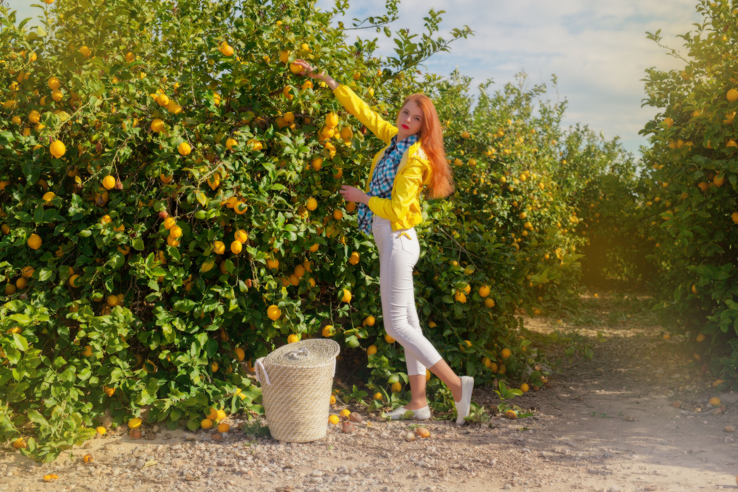 Lemon. Family and real state photographer in Haugesund Dina Vikra