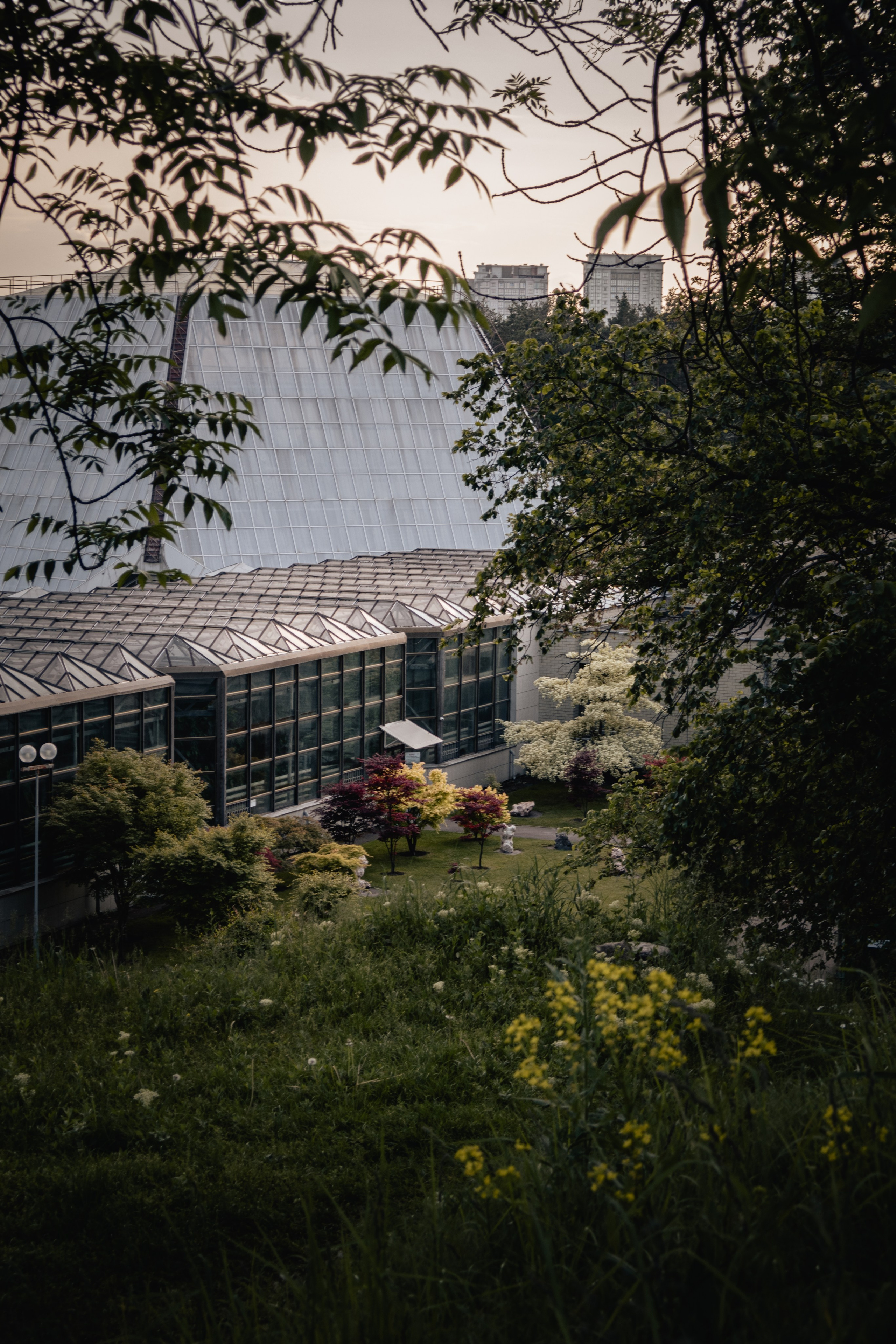 Дизайнер и Фотограф в Кишинёве Бусуйок Станислав