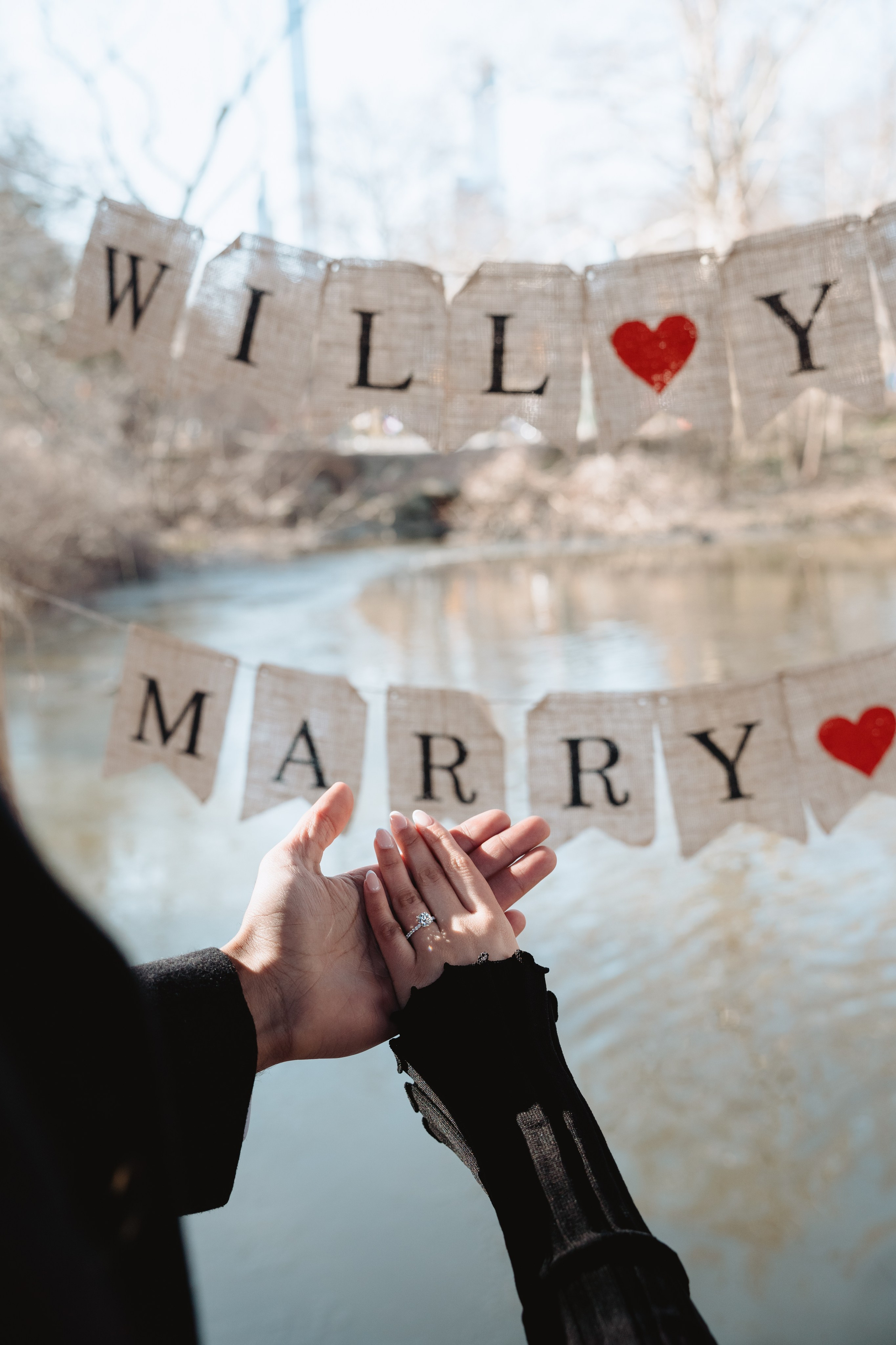 Gagandeep&Amani. Photographer in New York Faery By Mary