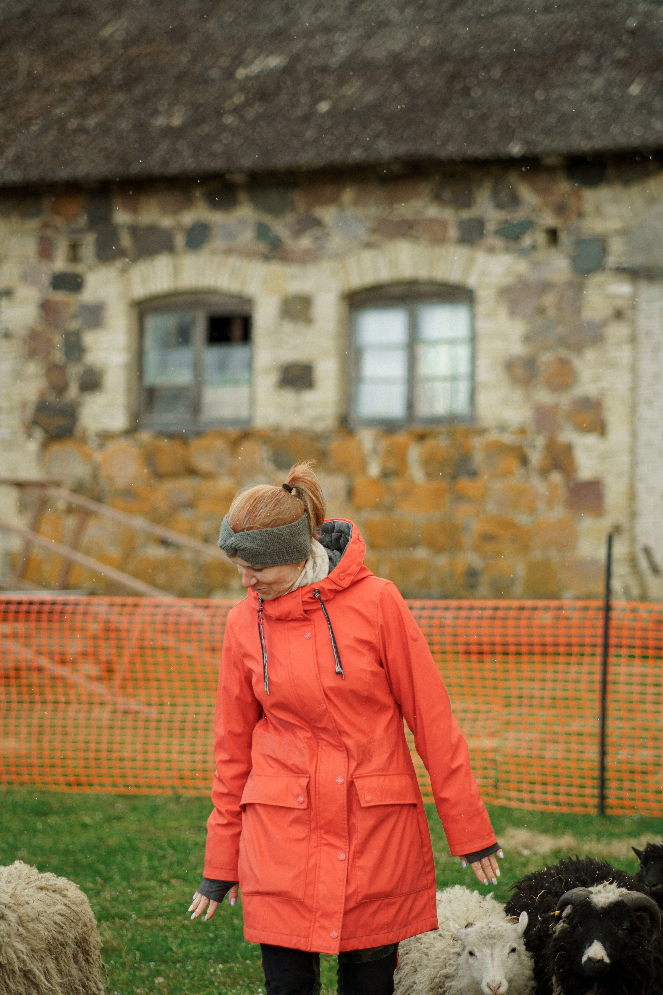 Herding Days, 26 apr. 2025. Kat Laisaar — Pet photographer in Tallinn