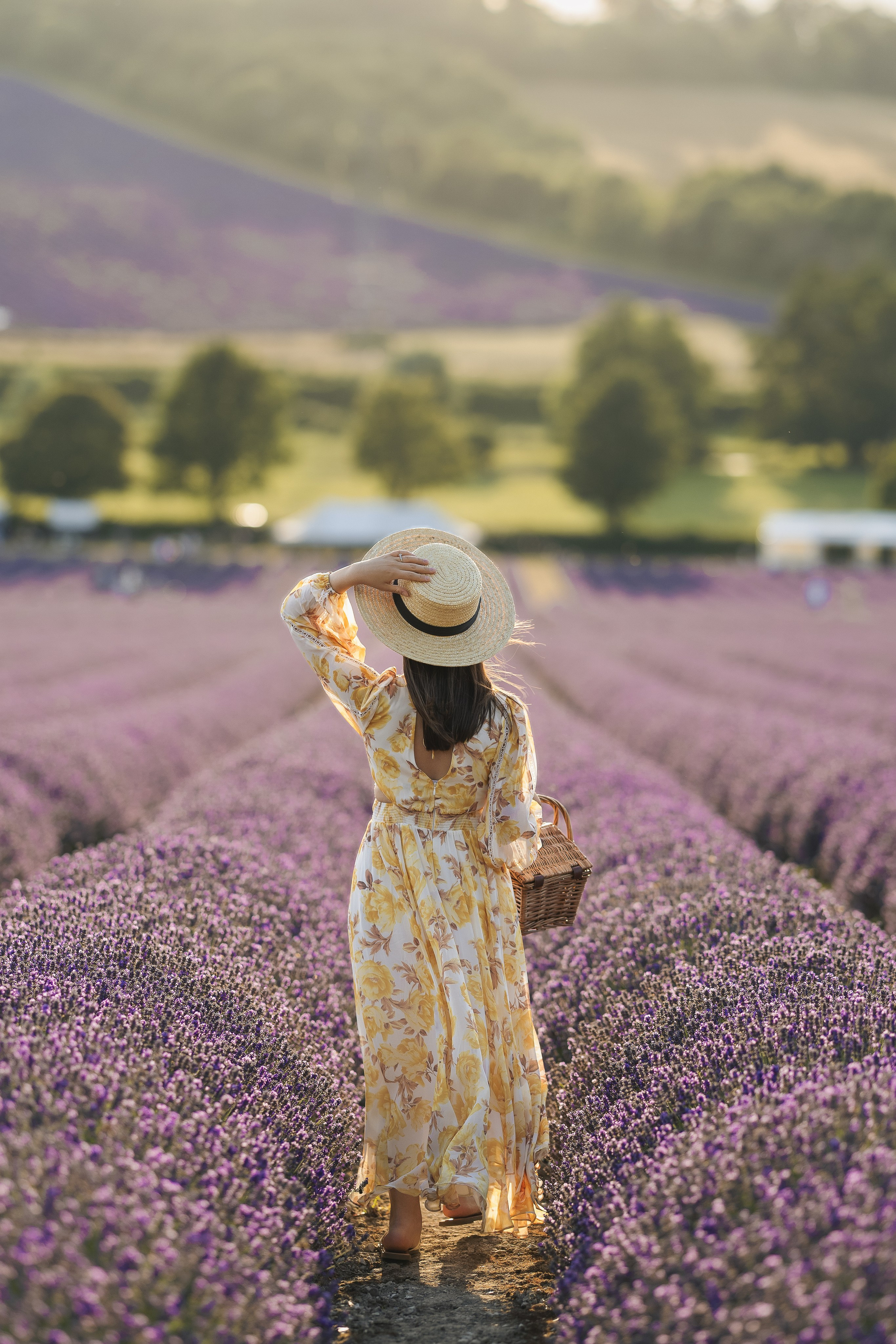 Lavender Picnics. PHOTOGRAPHER IN LONDON