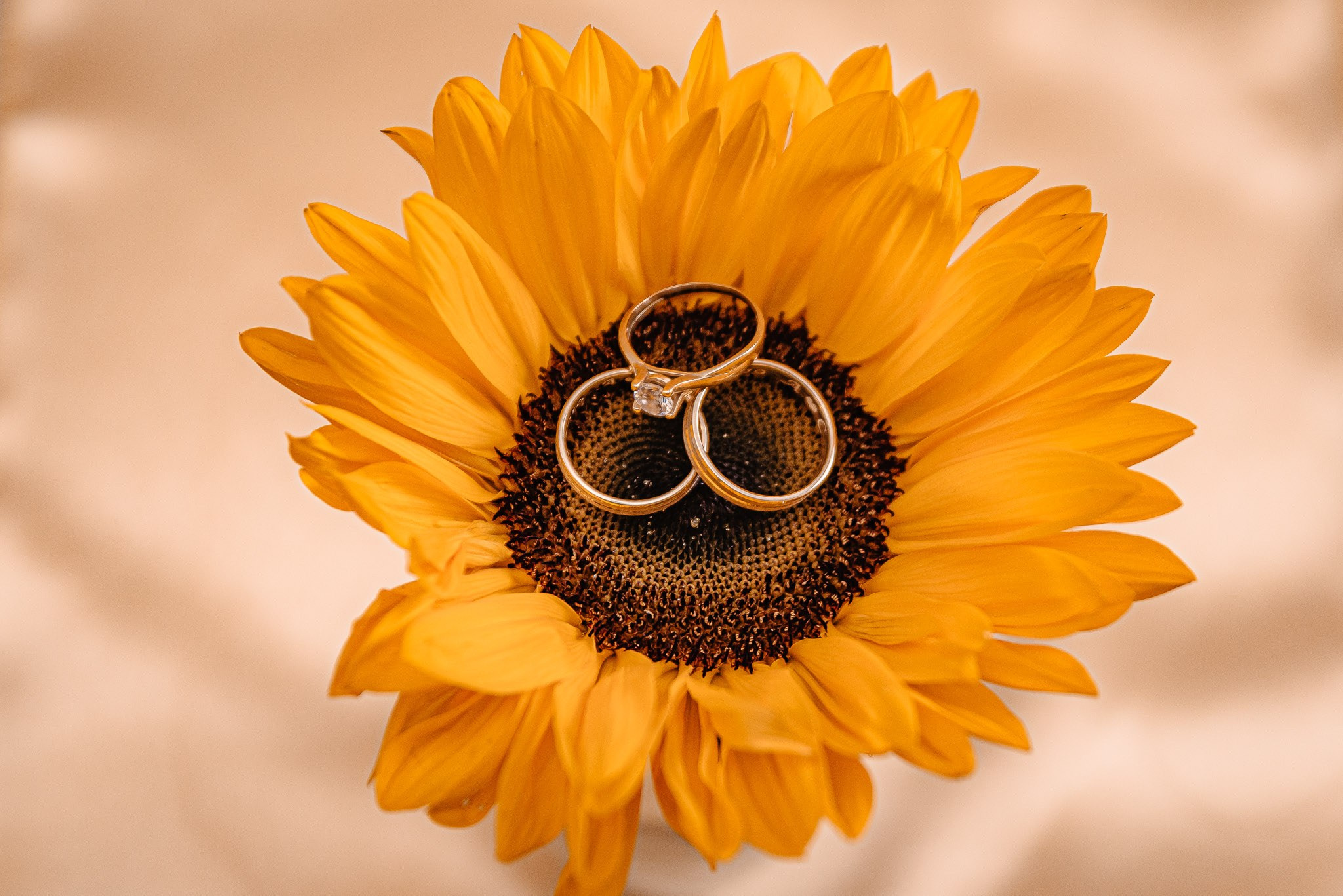 Familia Maerean — 05.10.2024. DanFotograf.dk