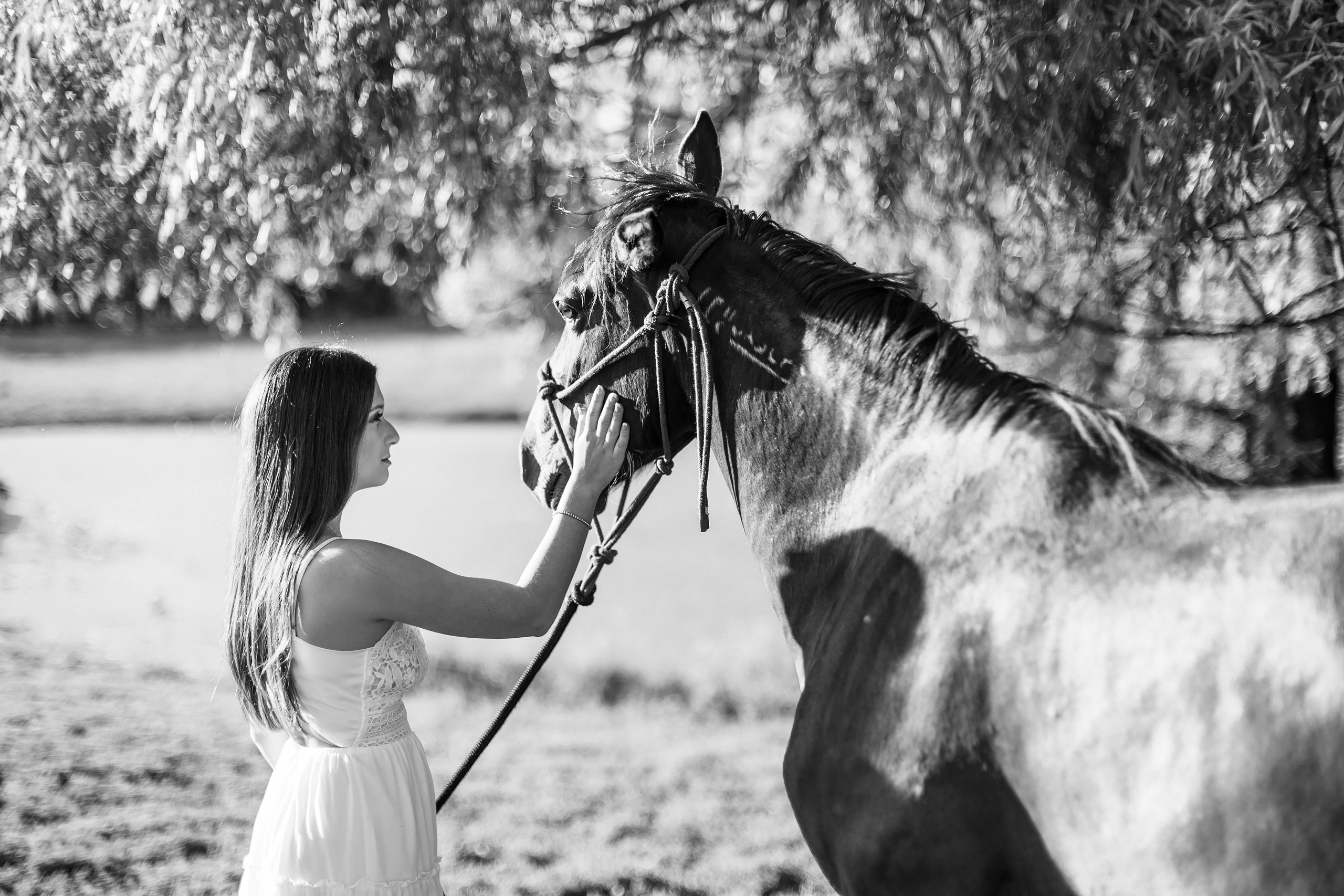 30.05.24 Family Photoshoot. Wedding family event photographer in Chicago Nick Yushevich
