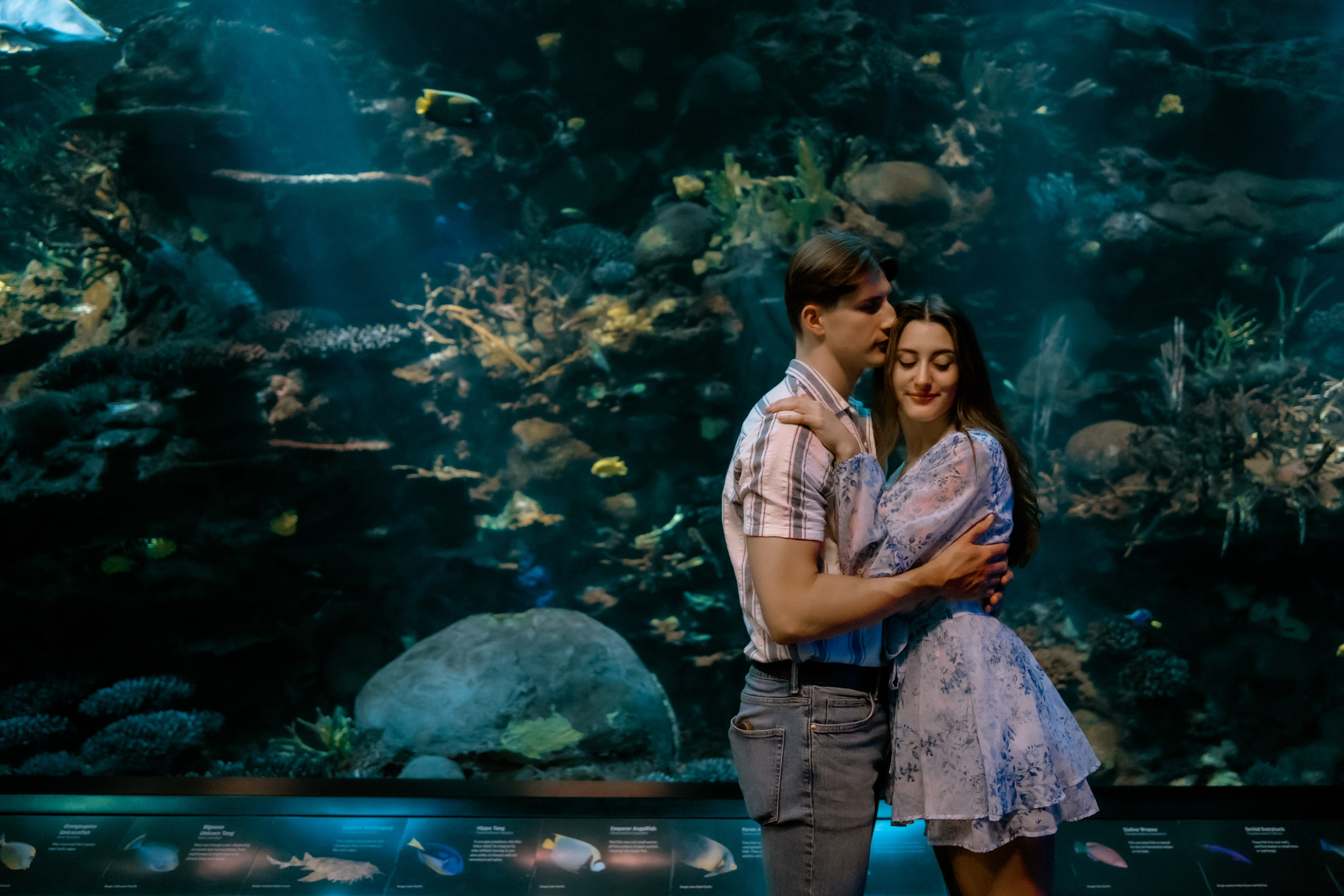 COUPLES. Ljova She Photography | This website is dedicated to wedding, couple, and proposal photography