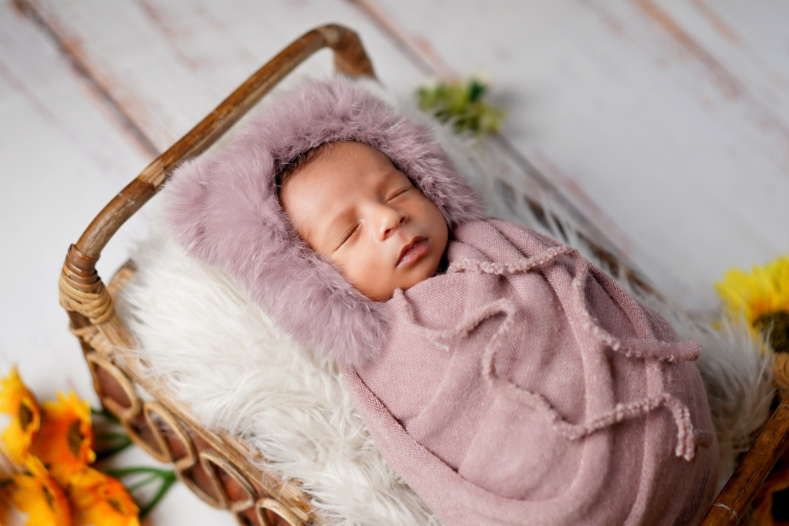 New born. TNF photo & filming