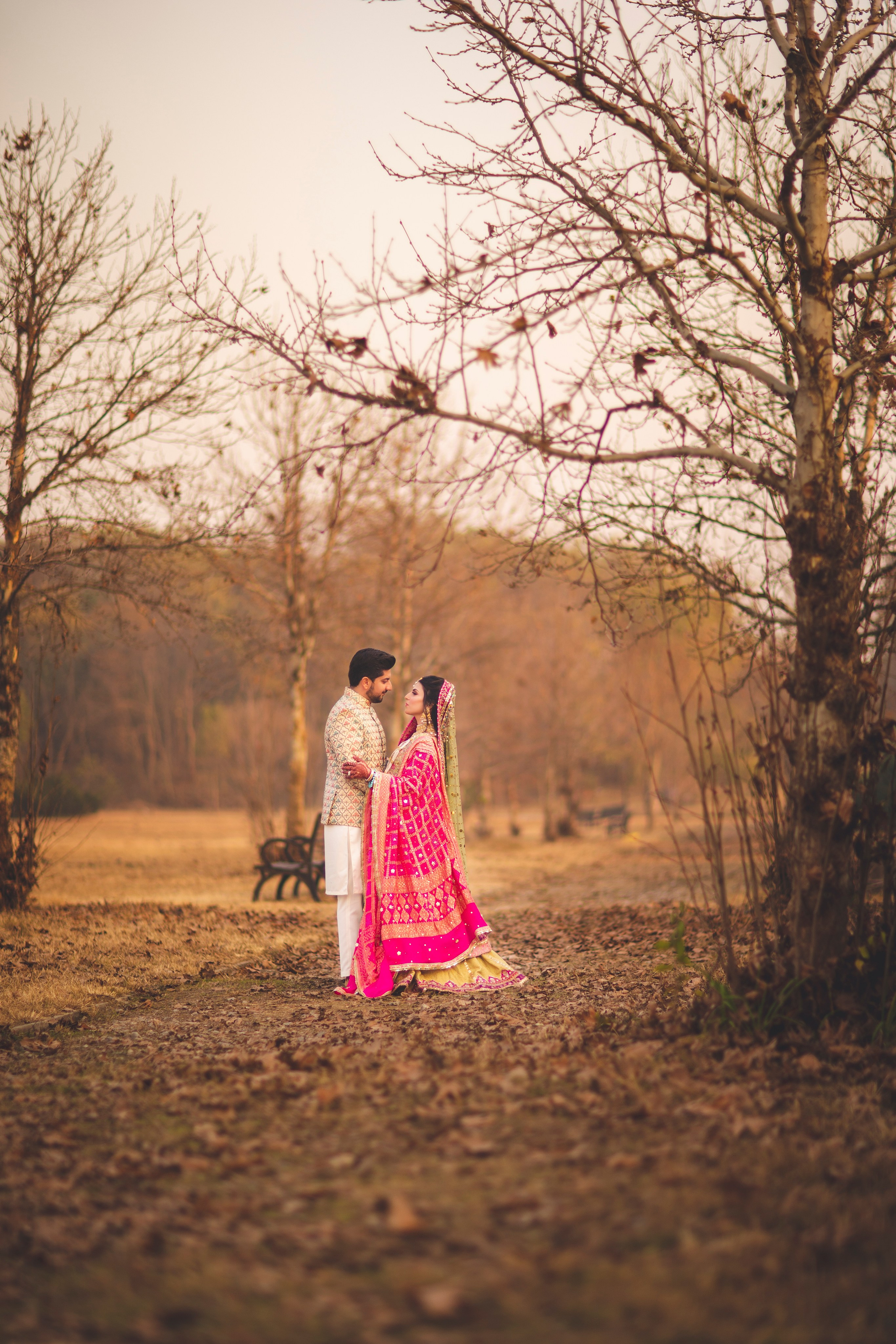 Portfolio. Chaar Bhai — Your Personal Family Historians