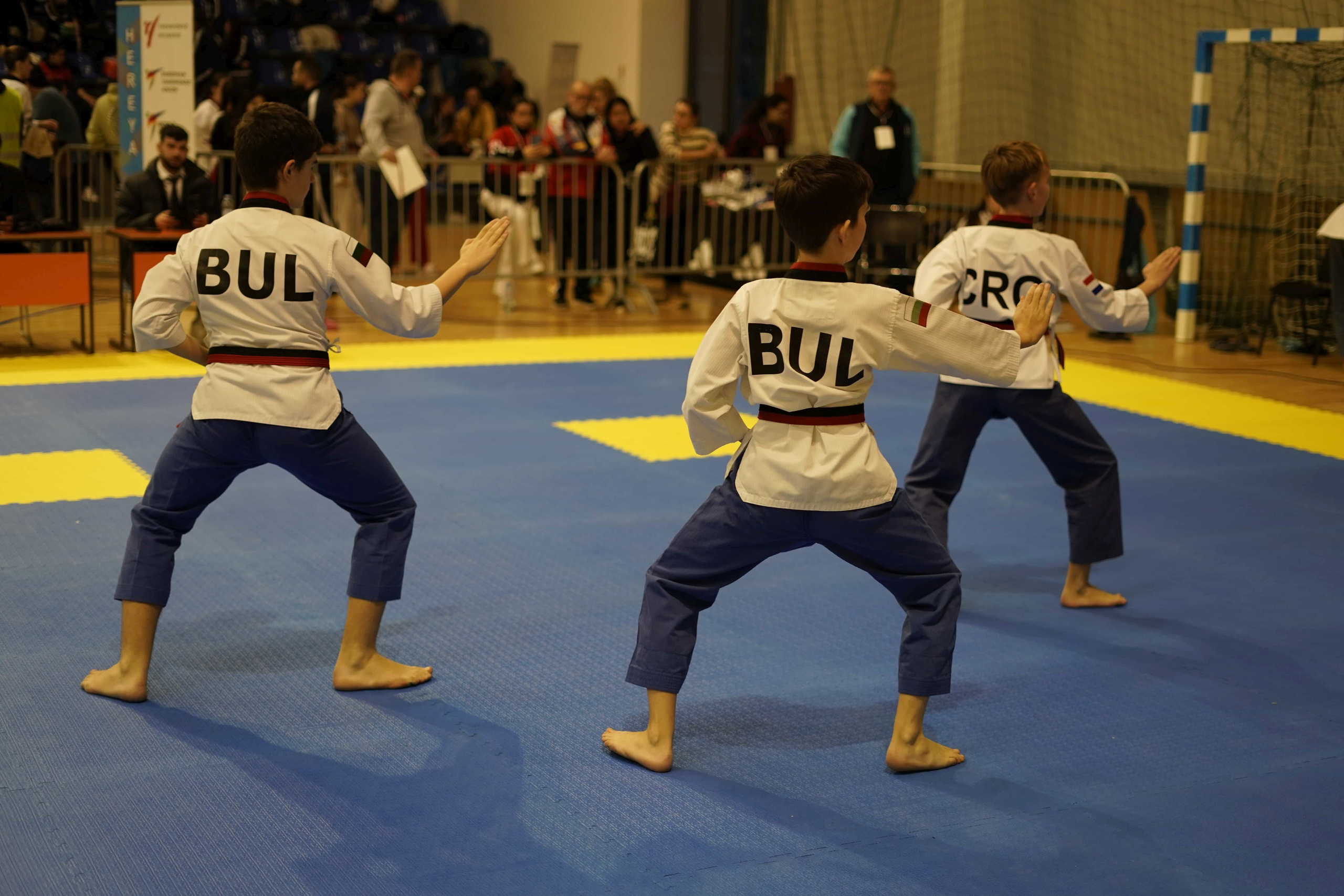 PhotoAdrenaline.com - Спортна фотография на&nbsp;TAEKWONDO турнири