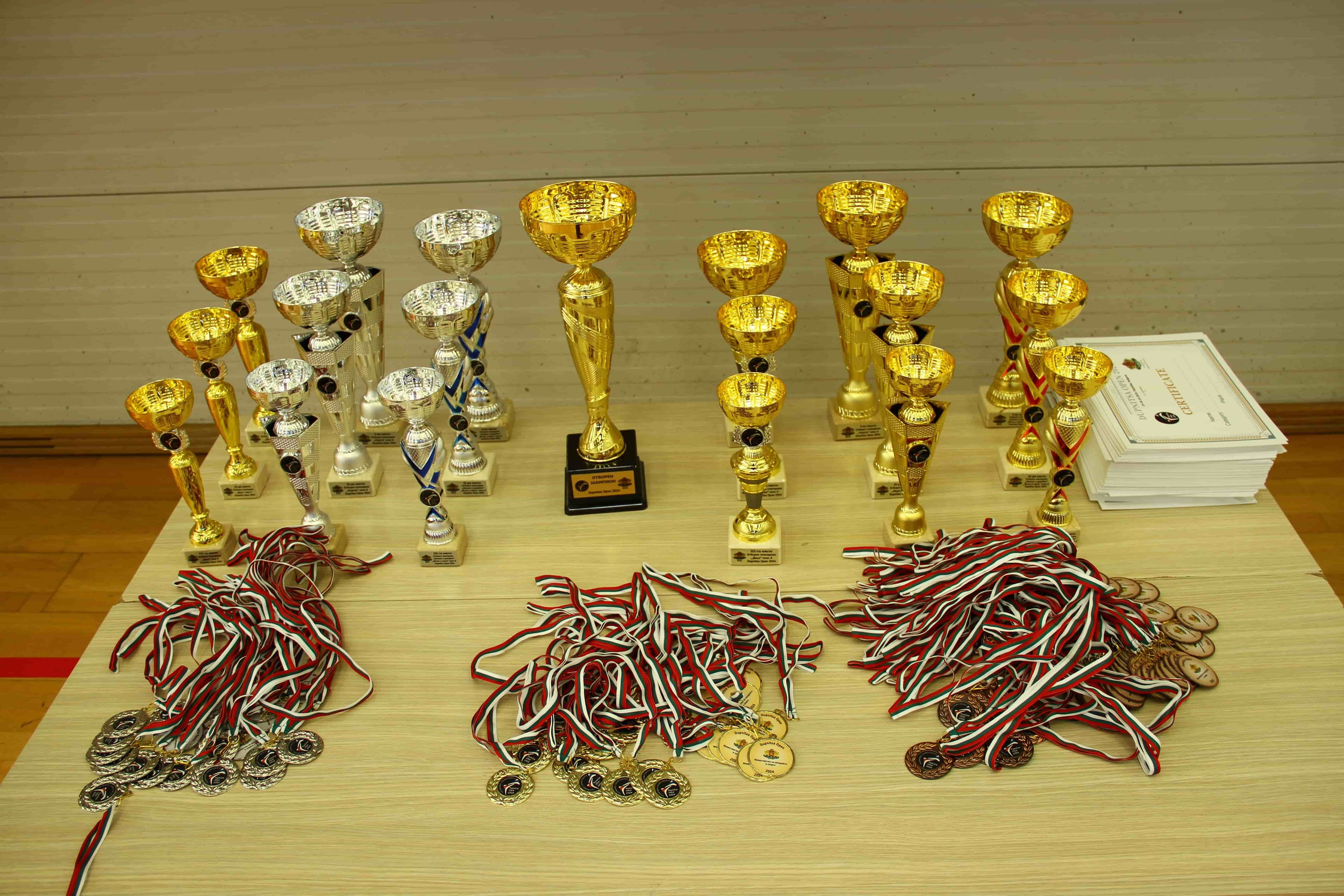 2024-10-19, ТАЕКУОНДО, Дупница. СПОРТНА ФОТОГРАФИЯ | ПОРТРЕТНА | РЕПОРТАЖНА