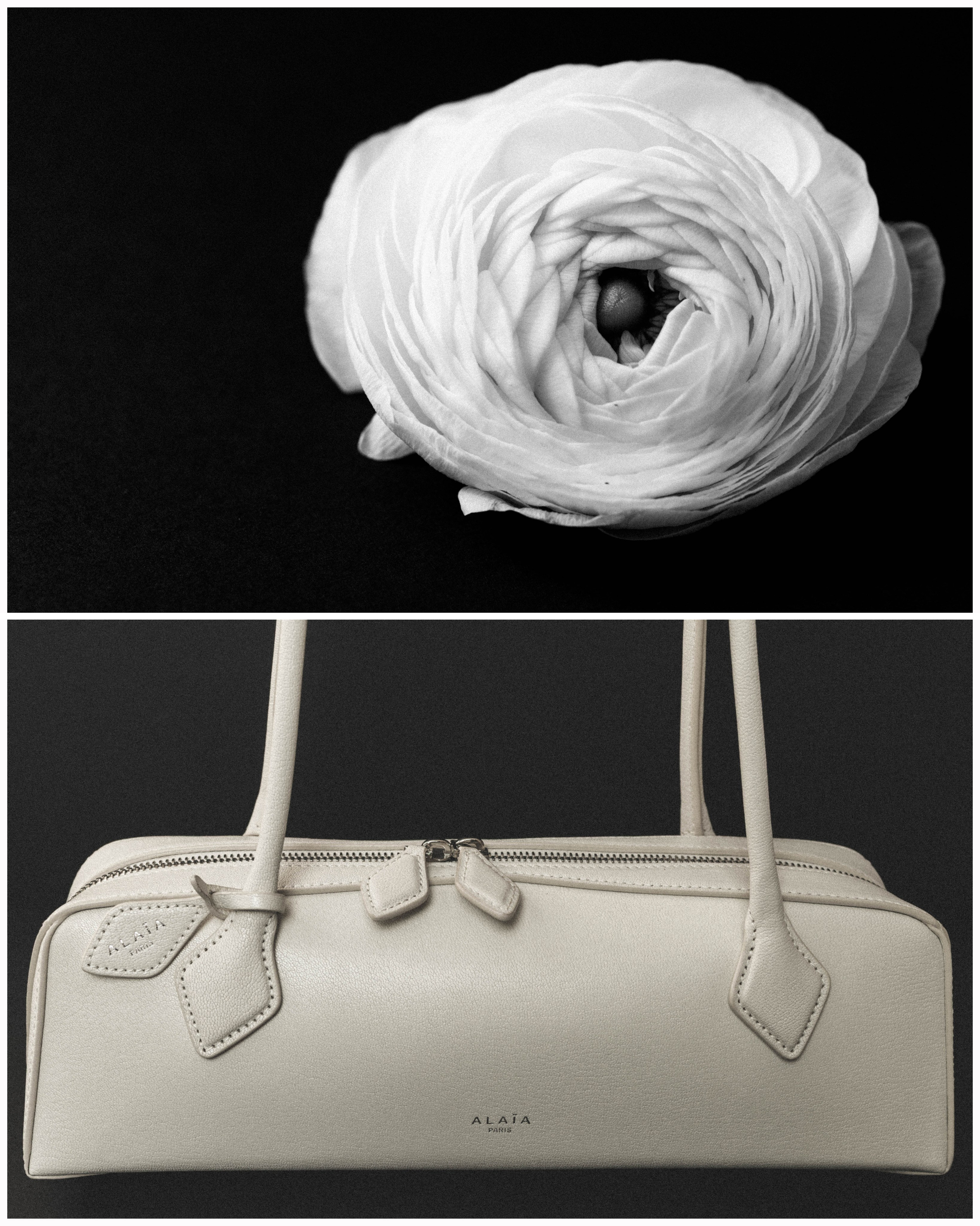 Photography in Singapore