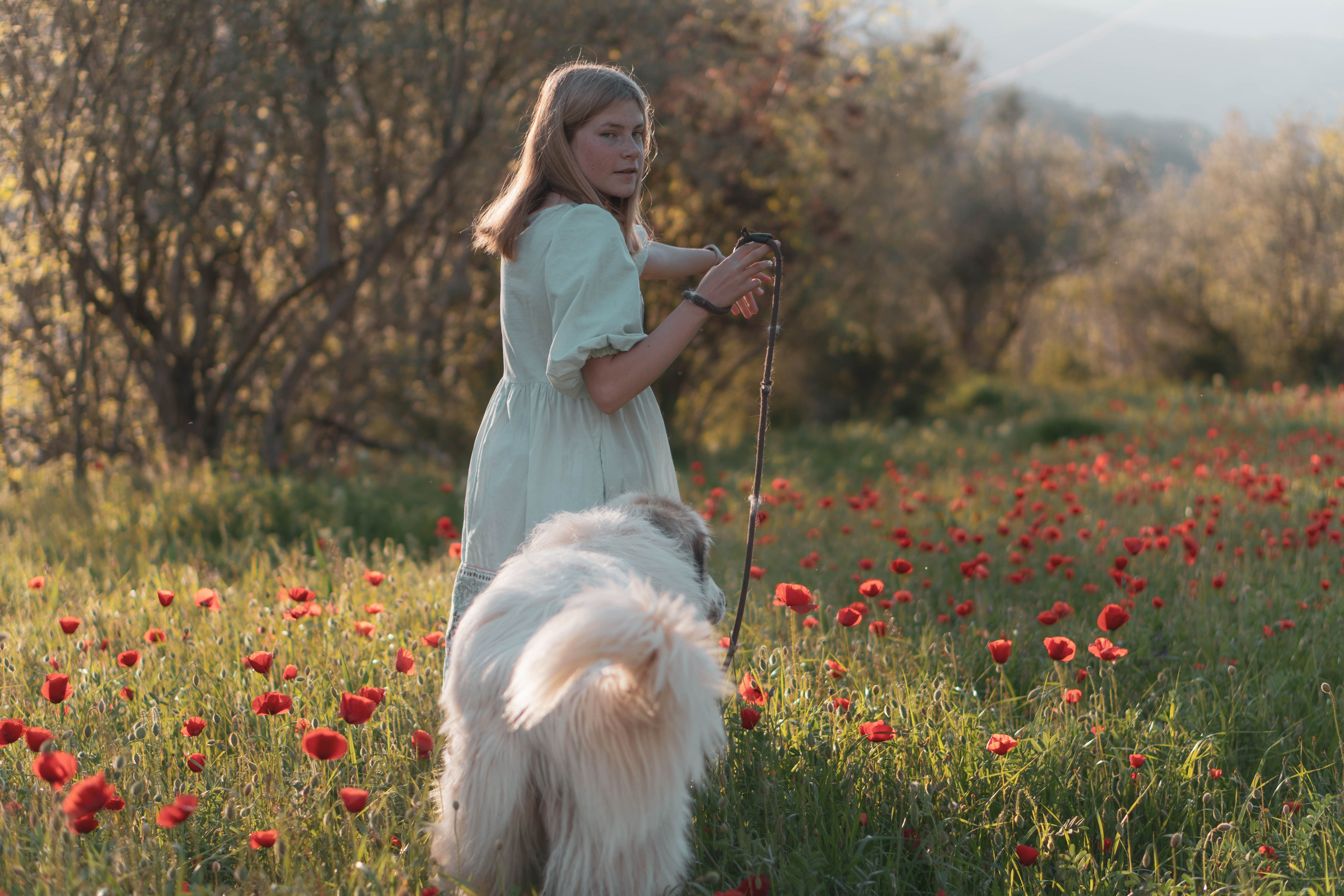 Agnia & Amapolas. Alba del Norte Studio