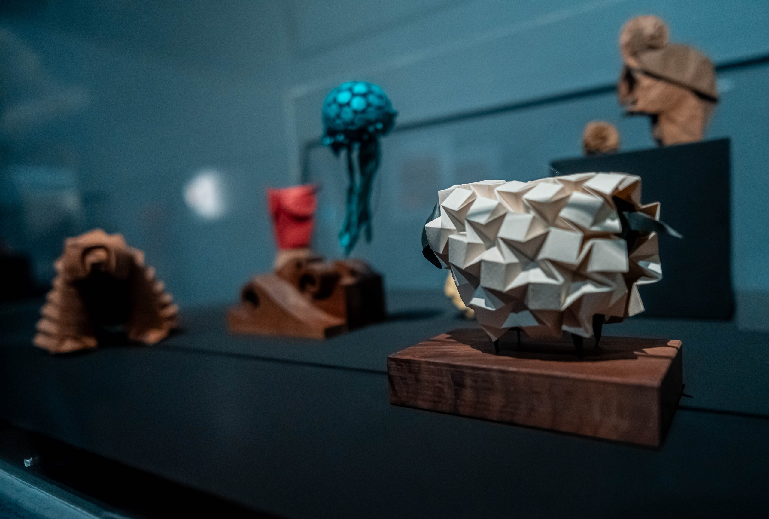 Museo de origami, Zaragoza. Alba del Norte Studio