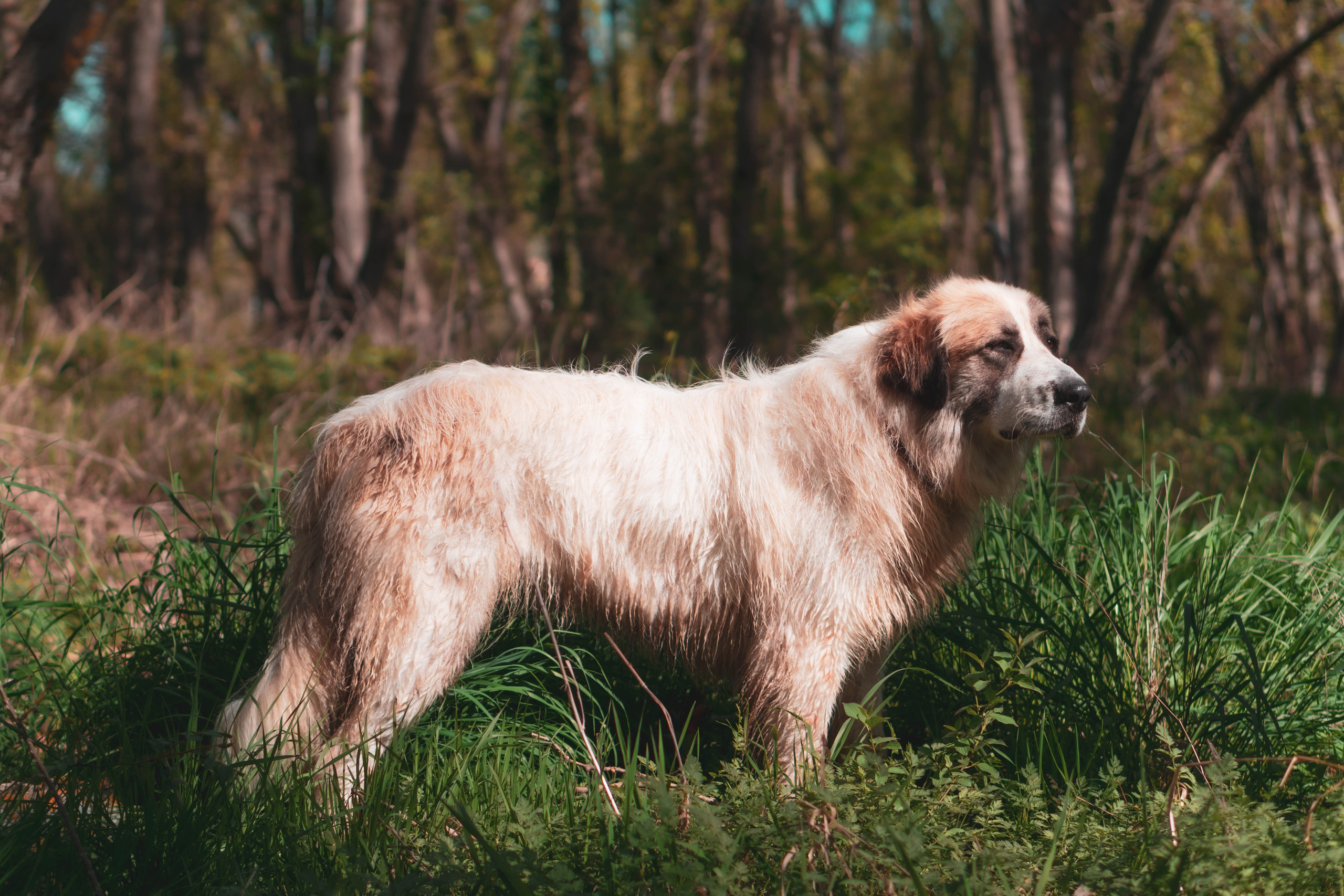 Noa&Agnia. Alba del Norte Studio