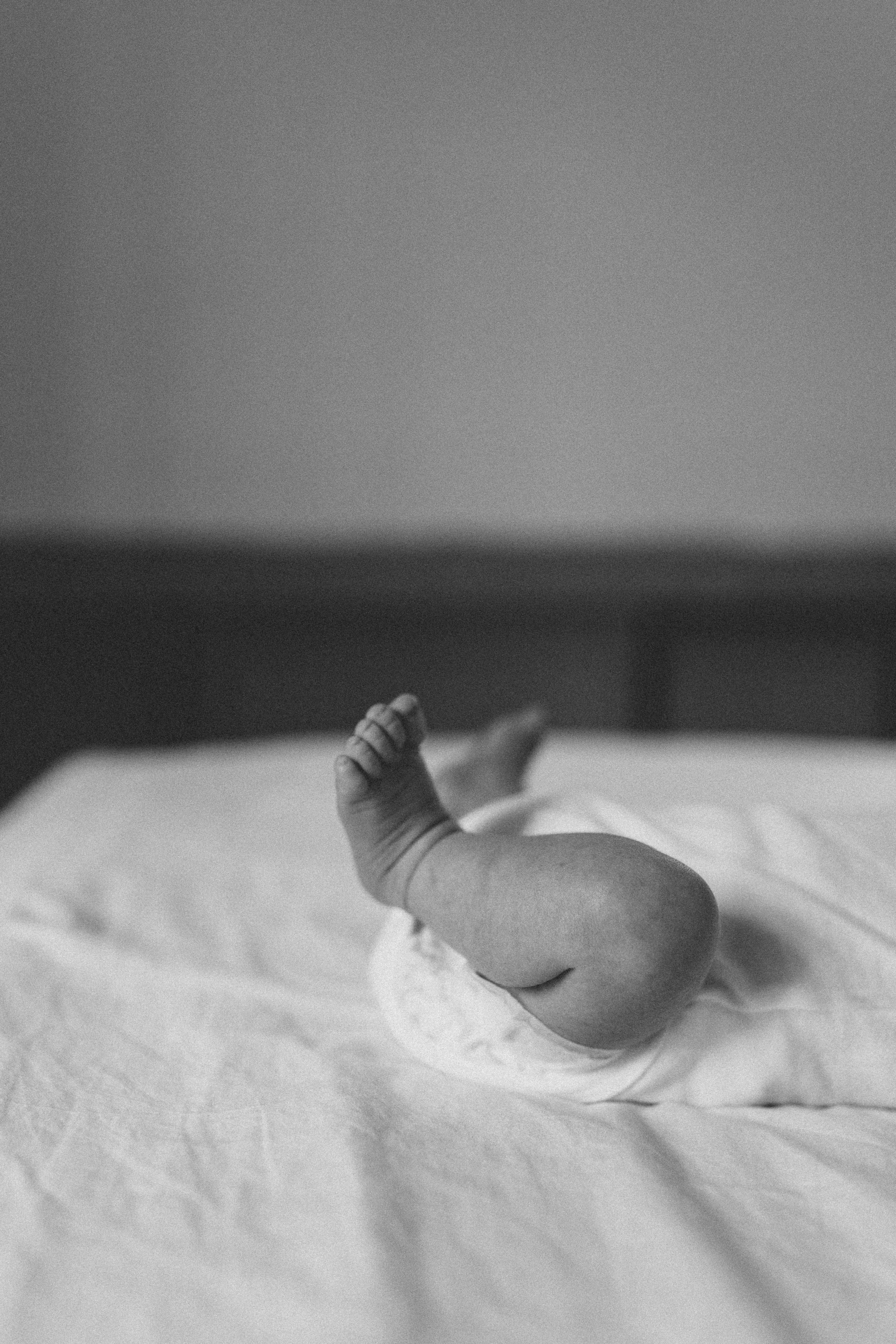 Shayne, Alon, Yanay&Kedem