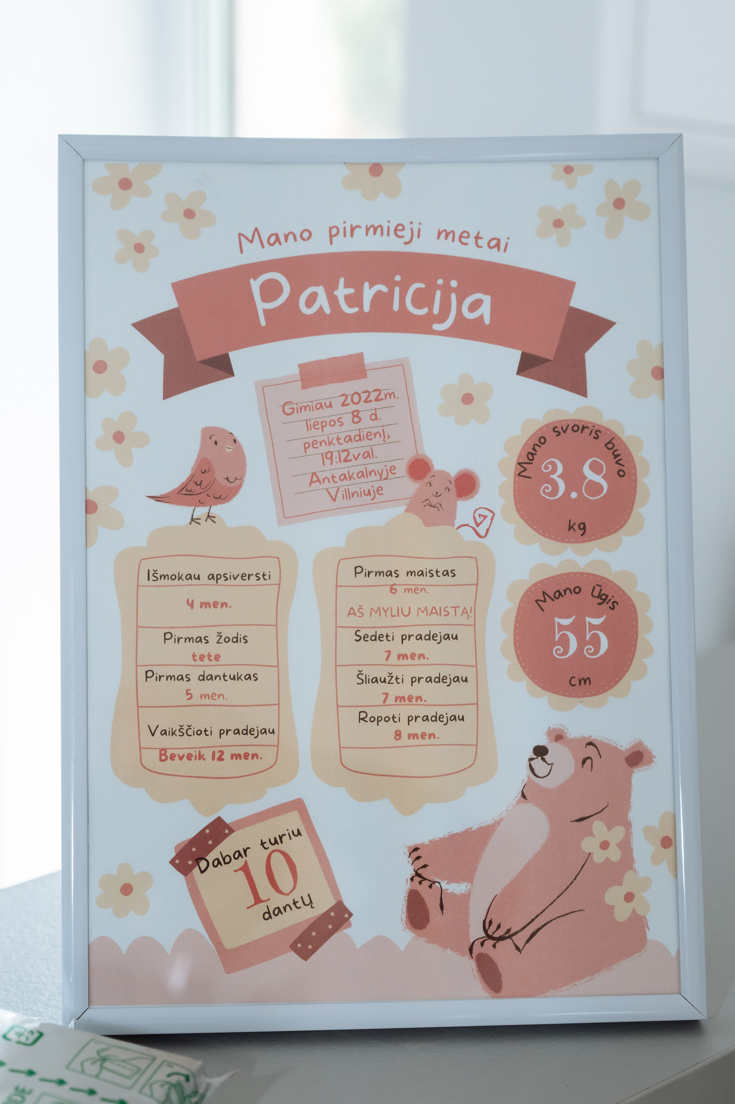 Patricijos krikštynos. Wedding, christening and family photographers in Vilnius, Lithuania