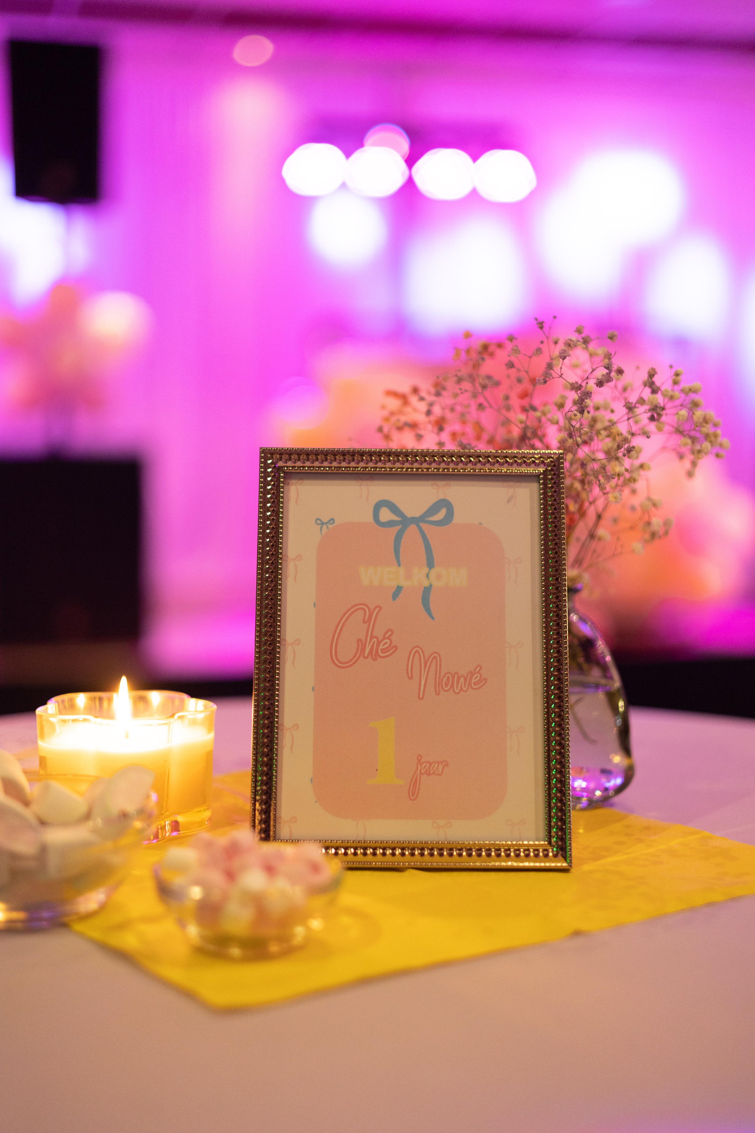 1 st Birthday. Portrait and Family Photographer in Netherlands