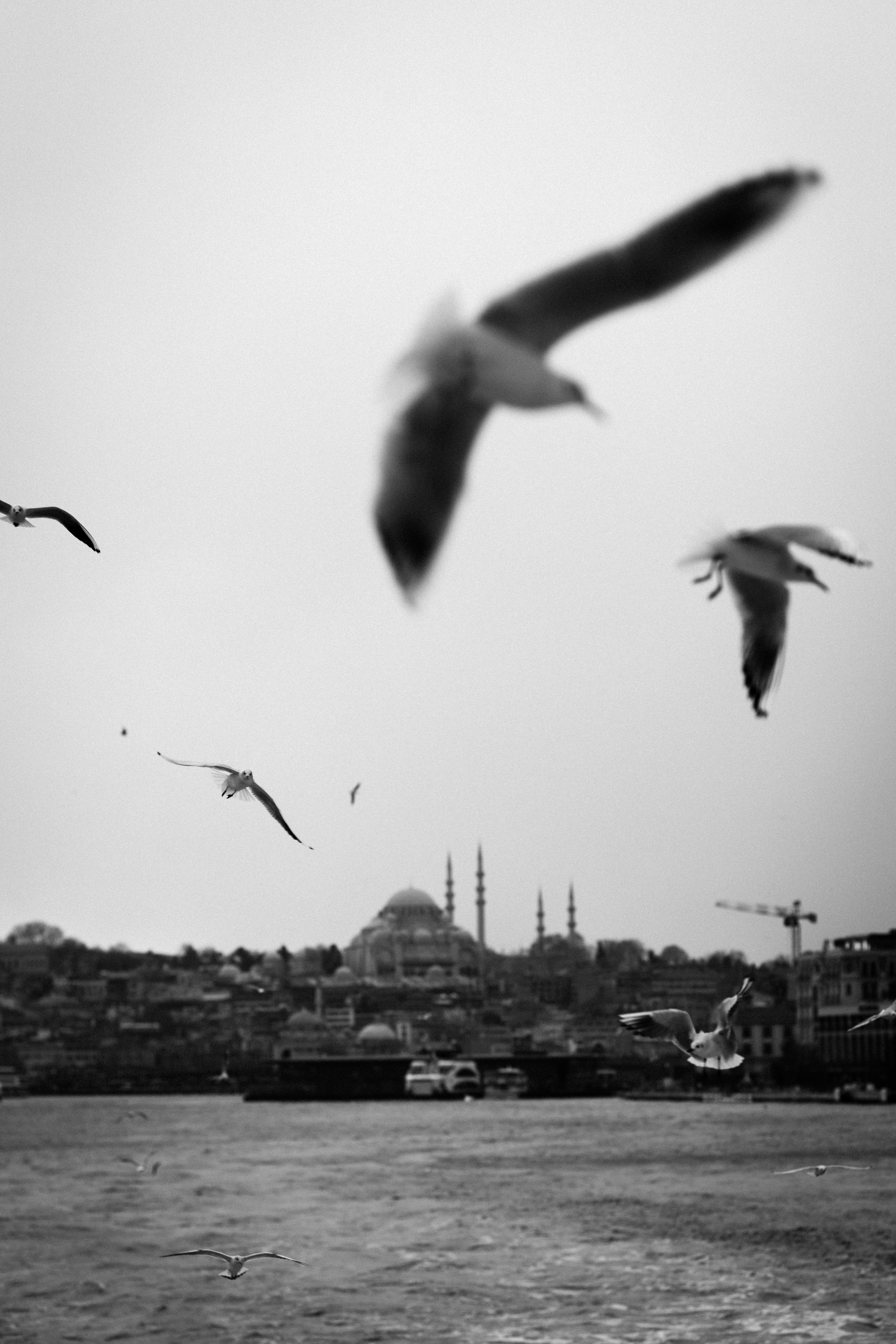 Стамбул. Фотопрогулки в Стамбуле