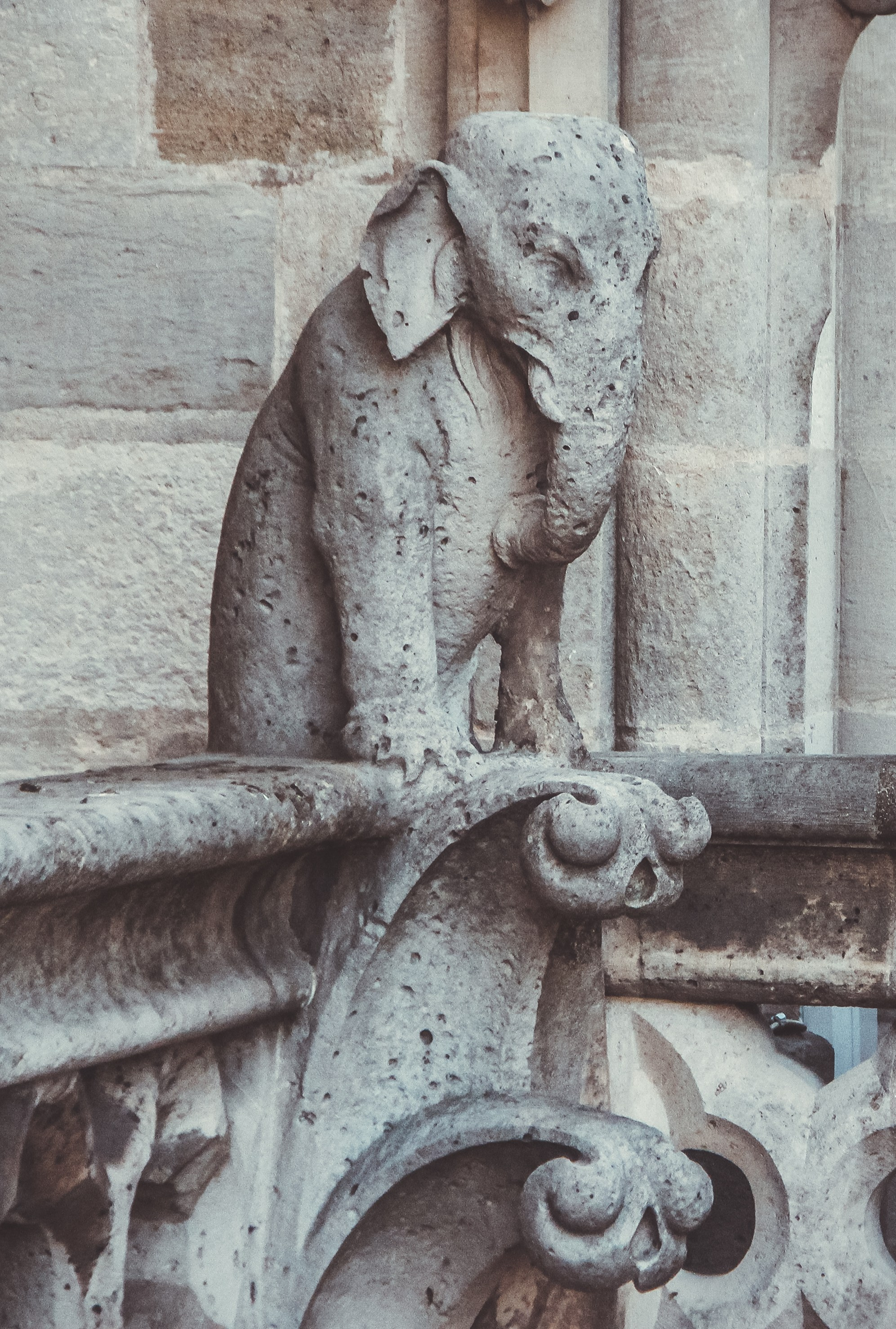 Увидеть Париж десять лет спустя. Фотограф в Германии — Мария Чистякова