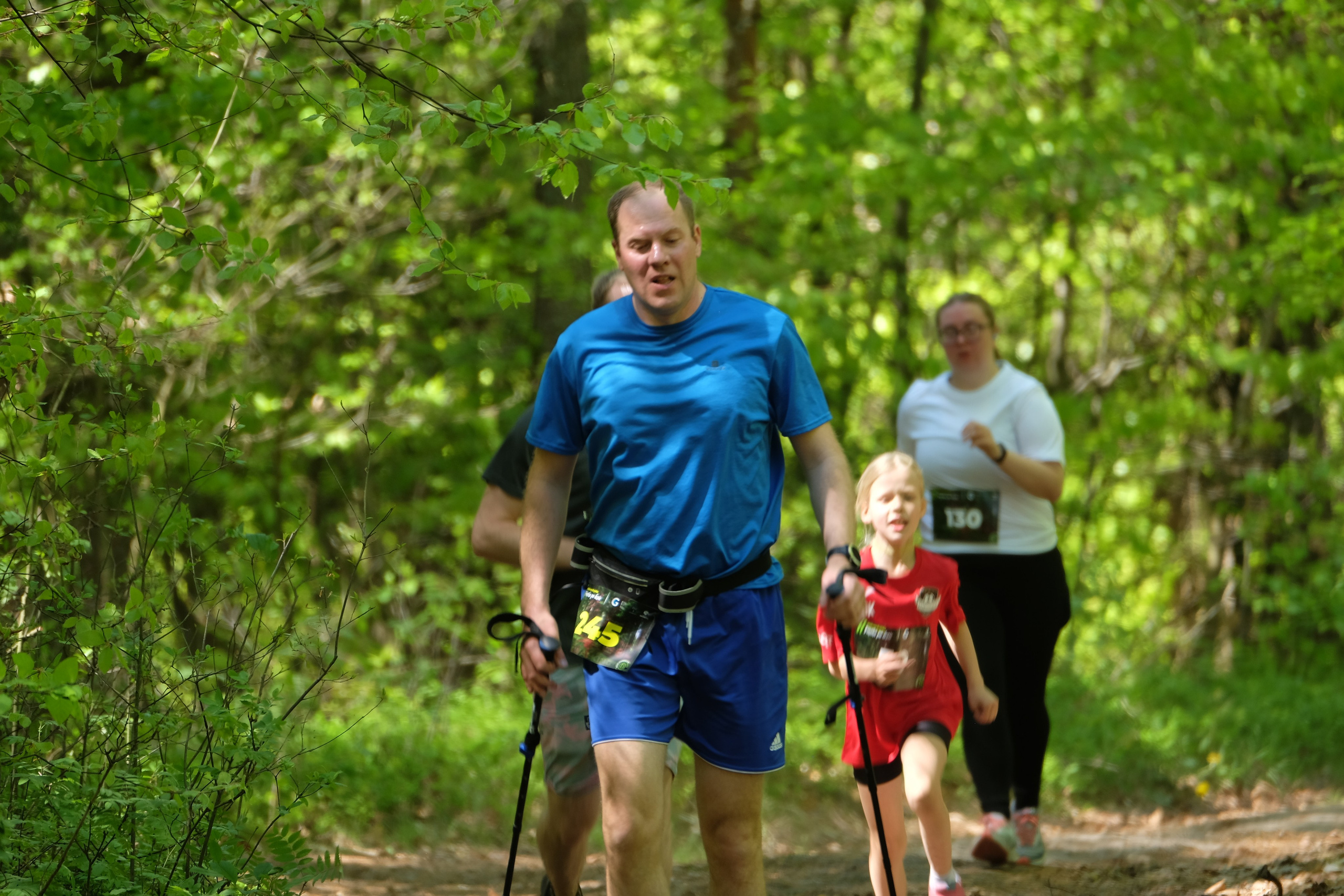 Aleksandryjska Piątka po lesie. Main