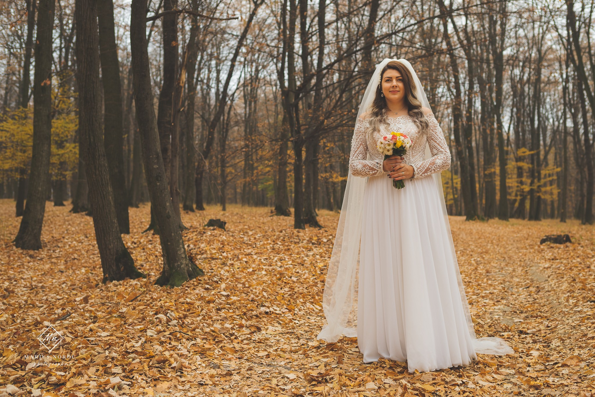 Oana & Daniel | Padurea Bucium Iasi