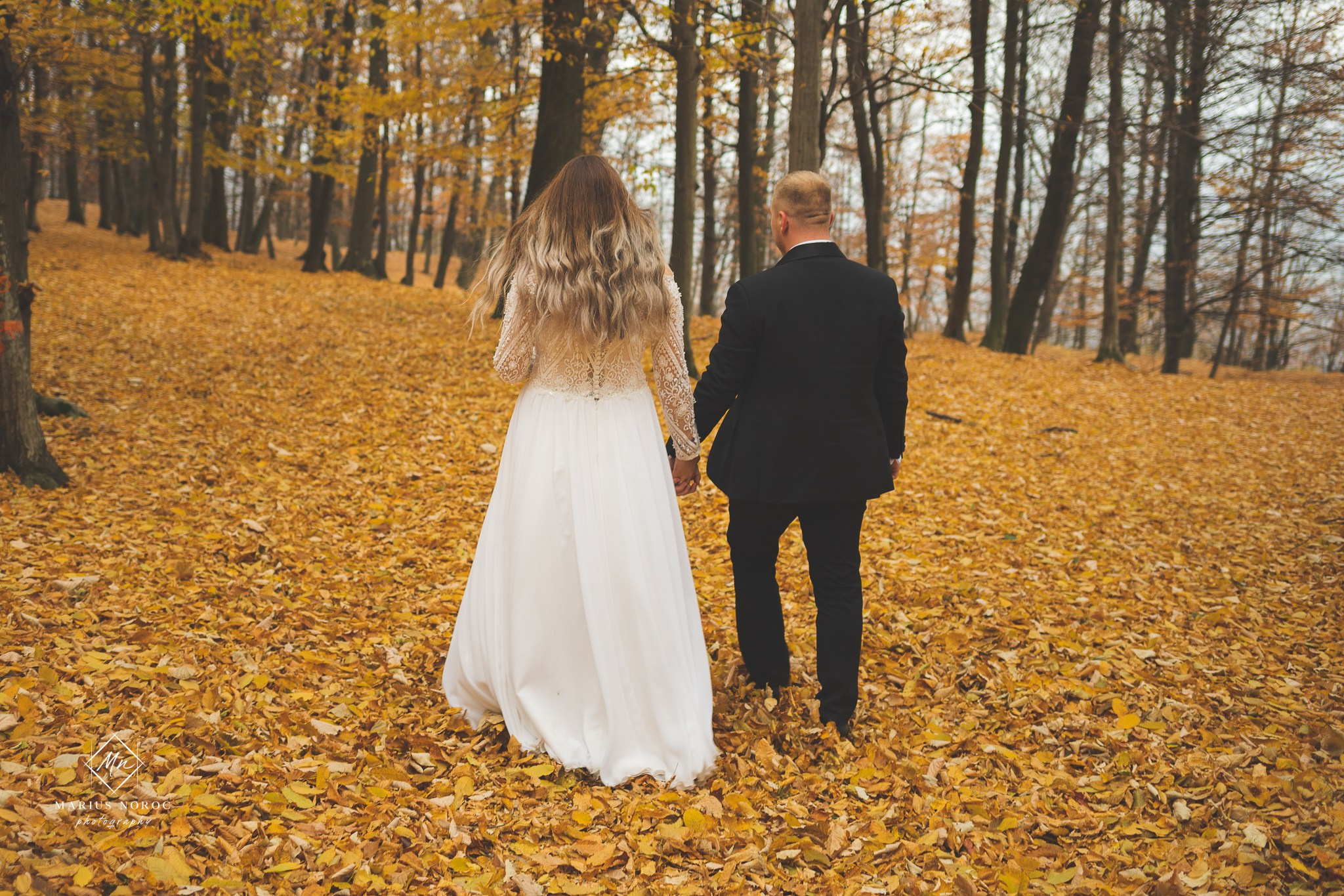 Oana & Daniel | Padurea Bucium Iasi