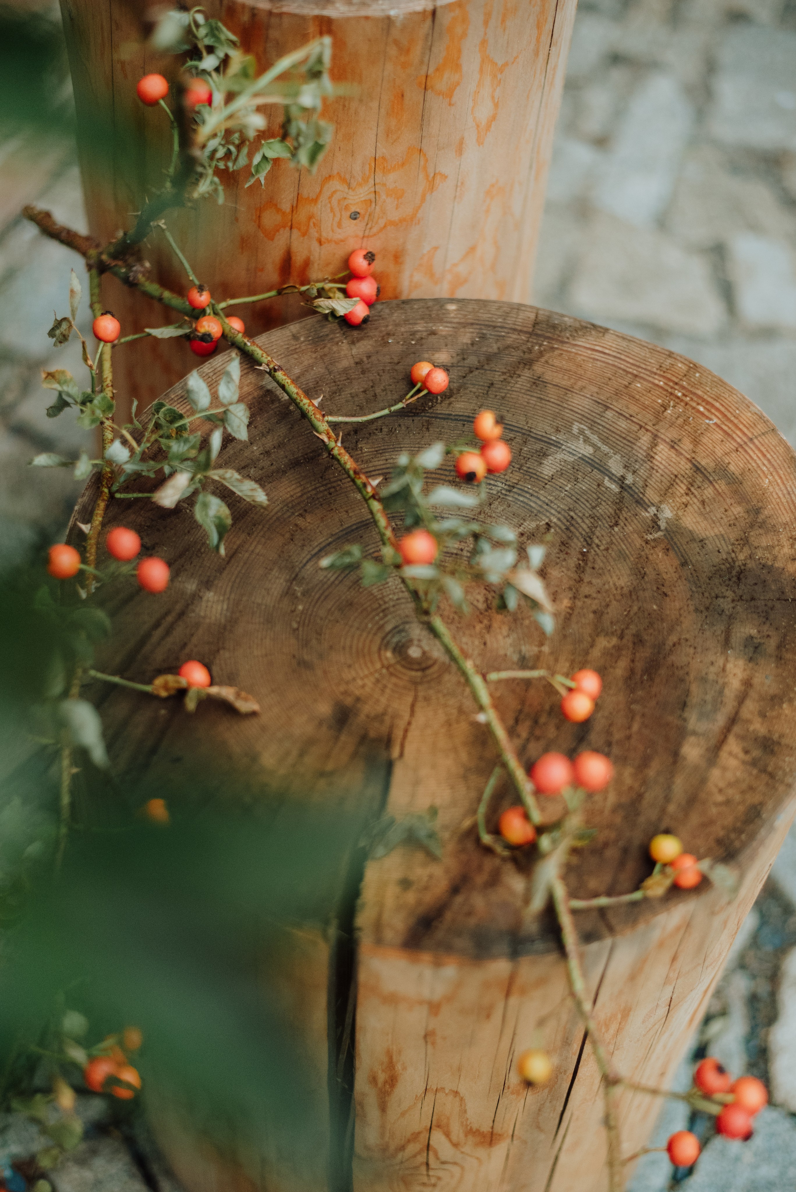 Daniela + Marcel. Lifestyle, wedding and family photographer