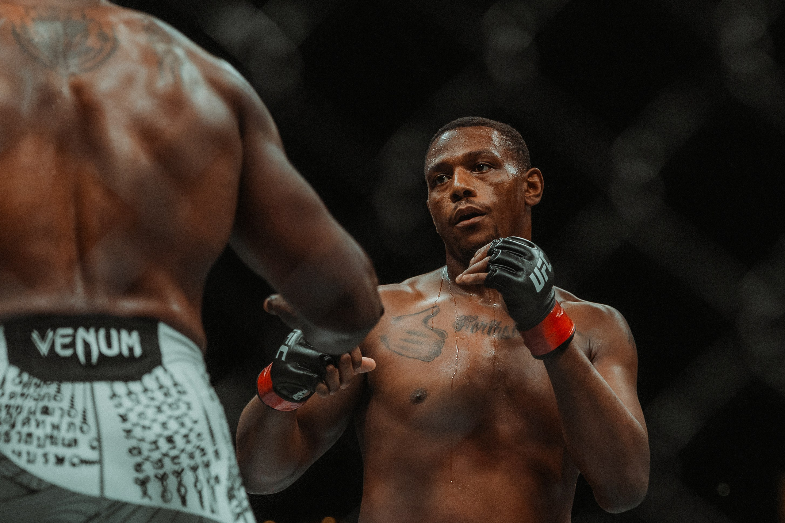 UFC. Commercial and Event photographer Eltaj