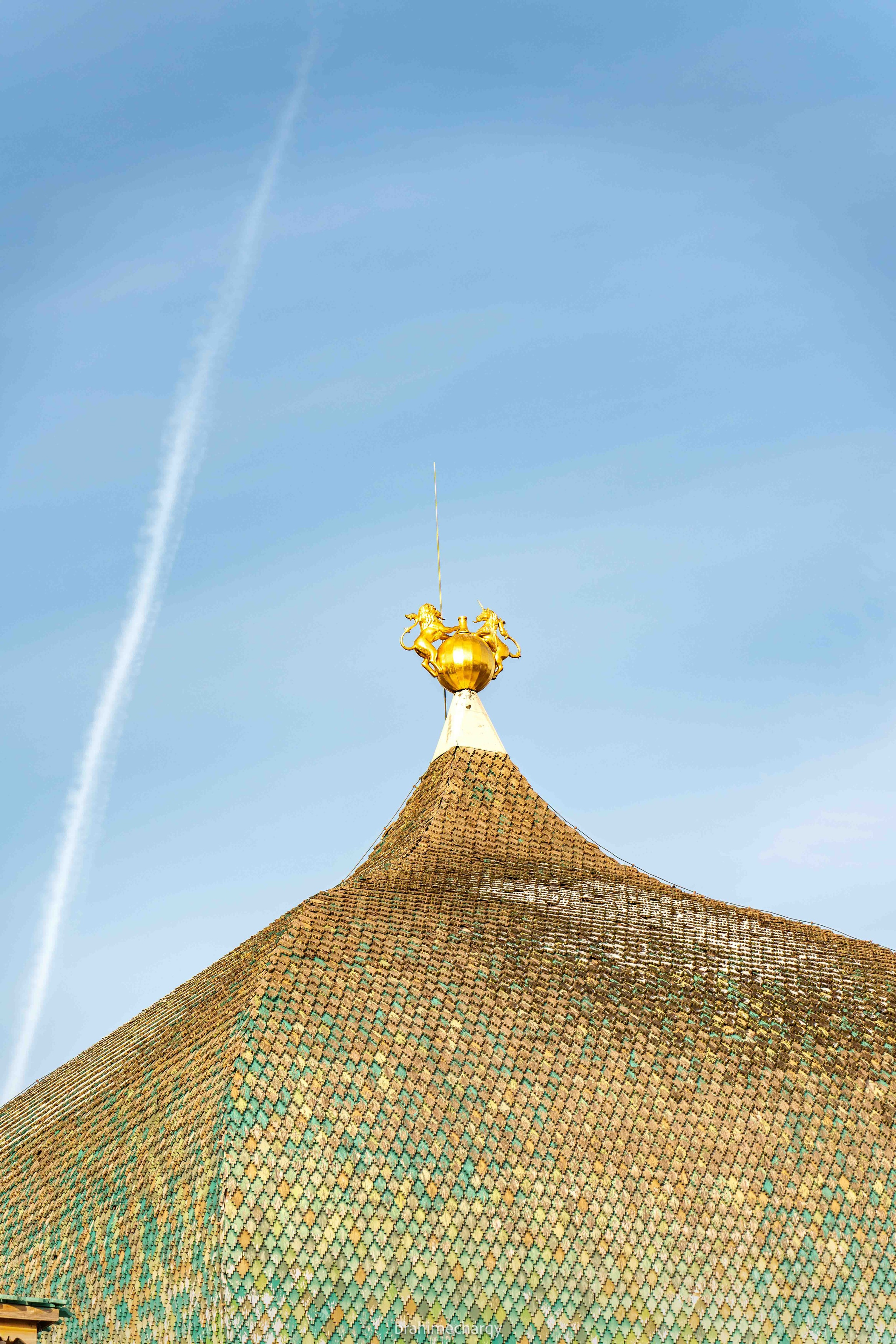 Фото. Брахим — фотограф