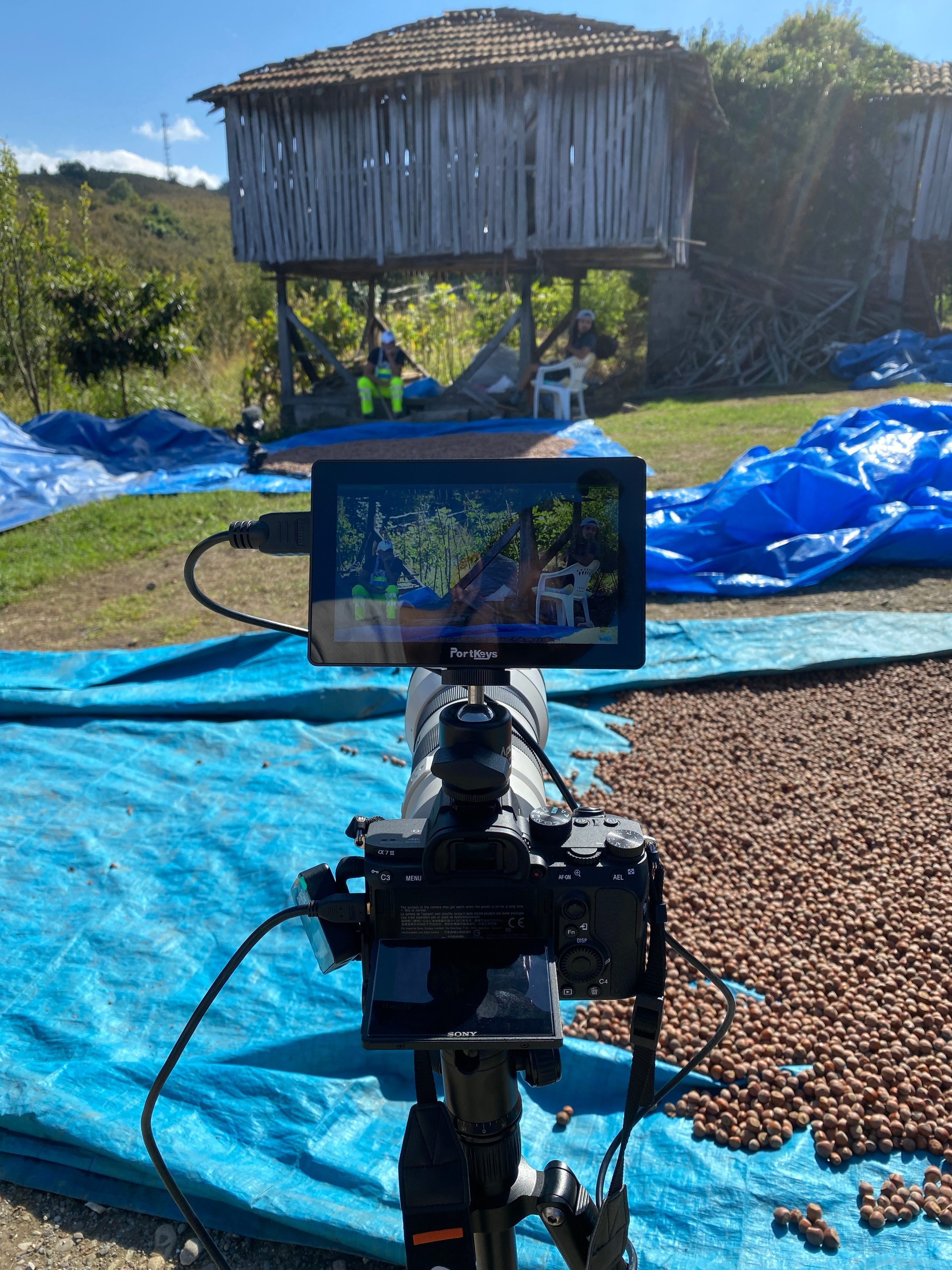 Предложения. Брахим — фотограф