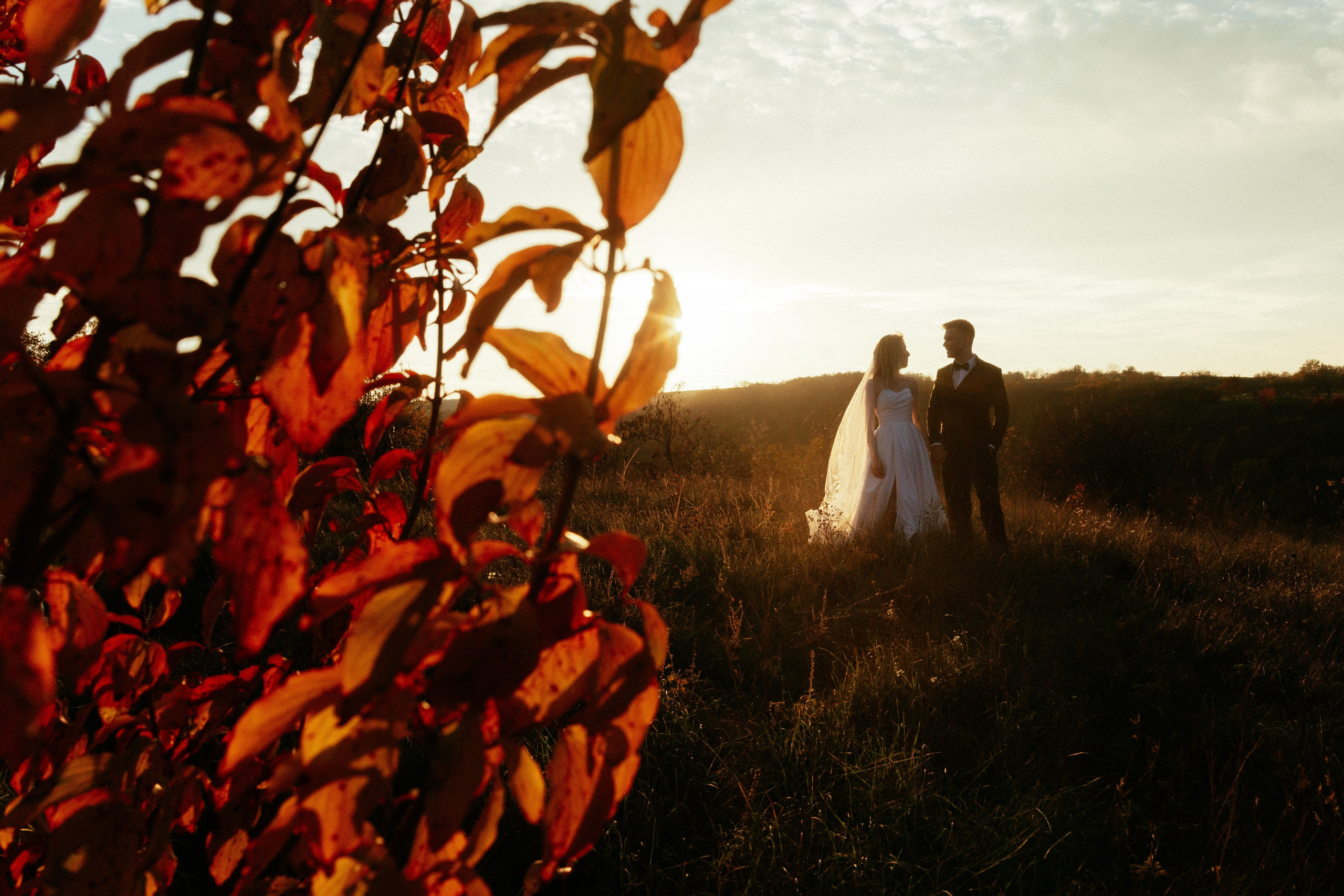 Portofoliu de fotografii profesionale. Fotograf de nuntă și familie Chisinau Moldova
