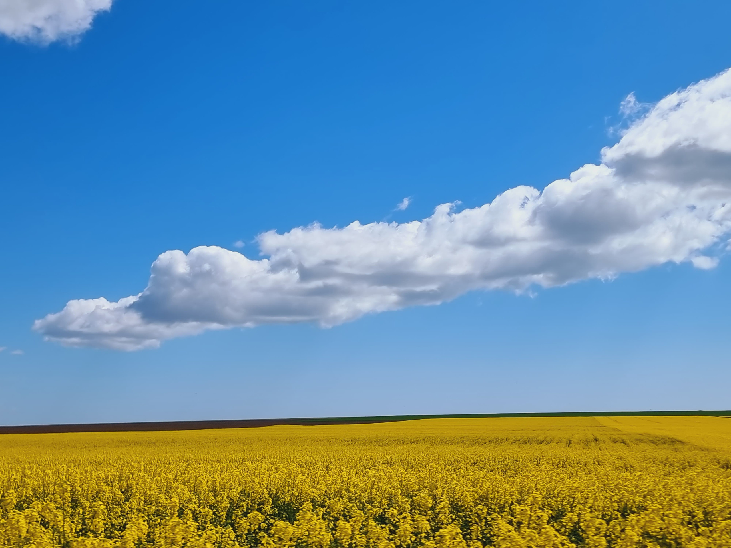 Bucati dintr-o drona Ucraineana gasite pe plaja Vadu