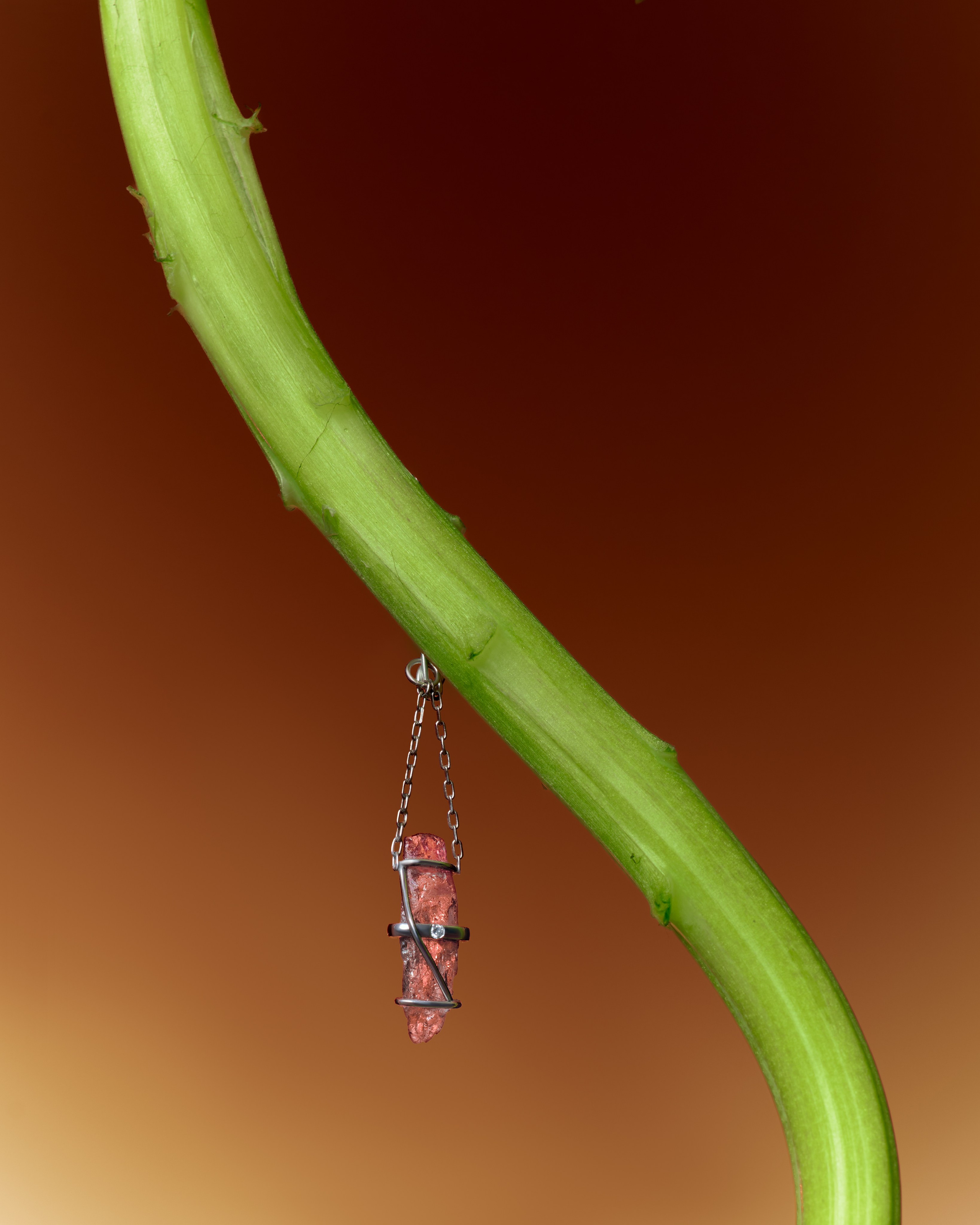 Fashion & Product. Photographer and videographer for business in Tbilisi Catrine Poznyak